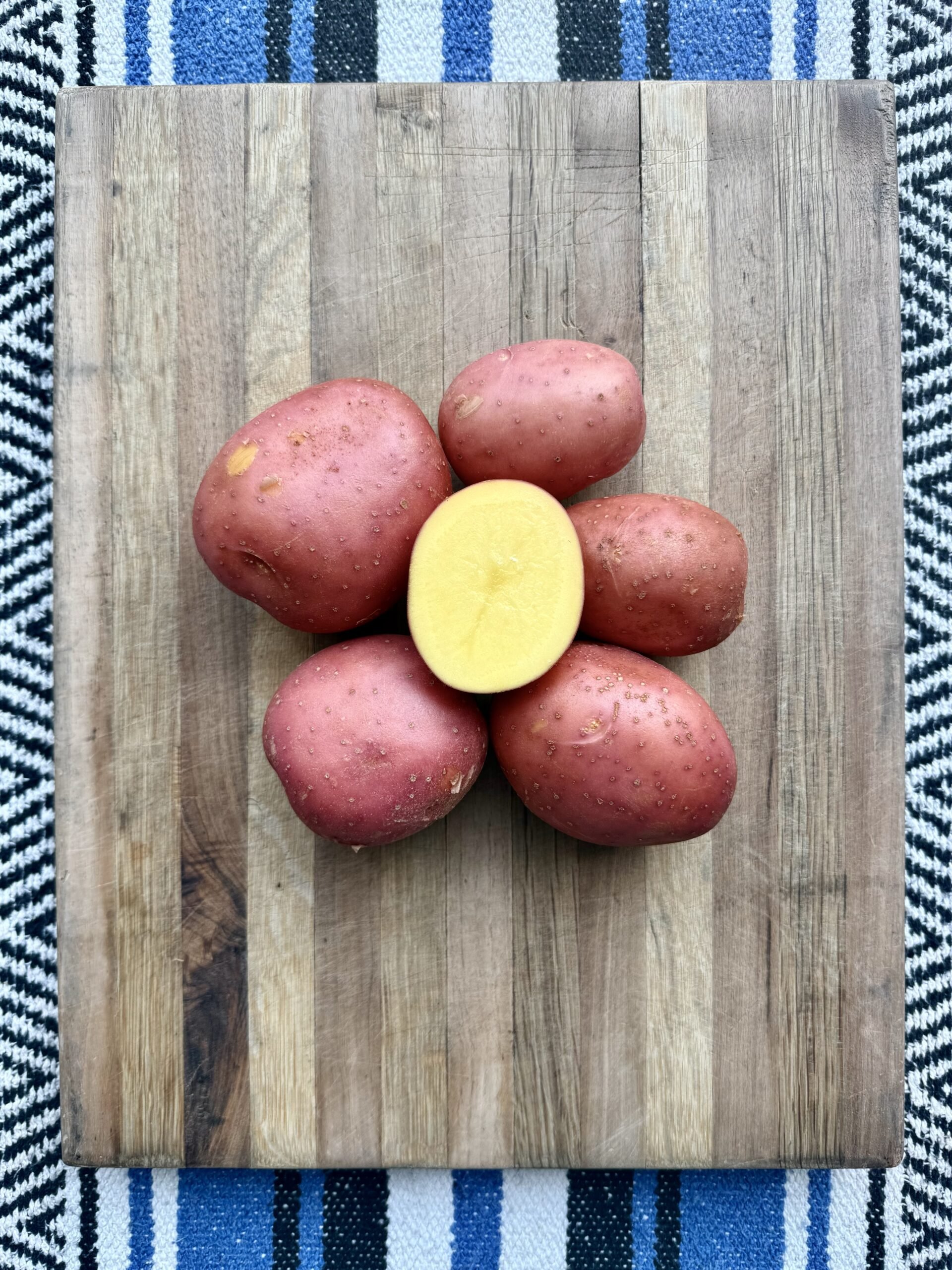 carla-rosa-potatoes-buena-tierra-scaled.jpg