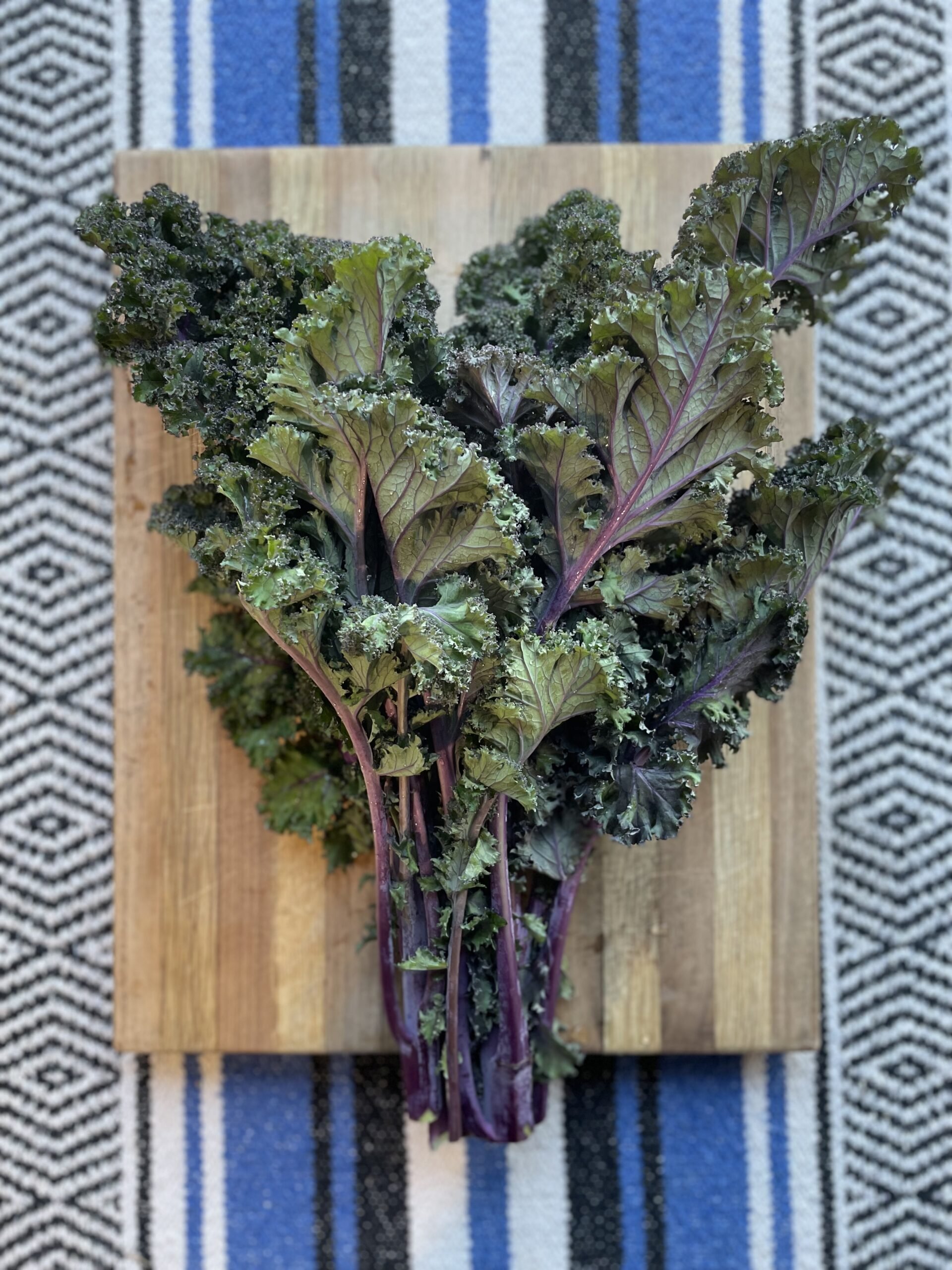red-kale-scaled.jpg