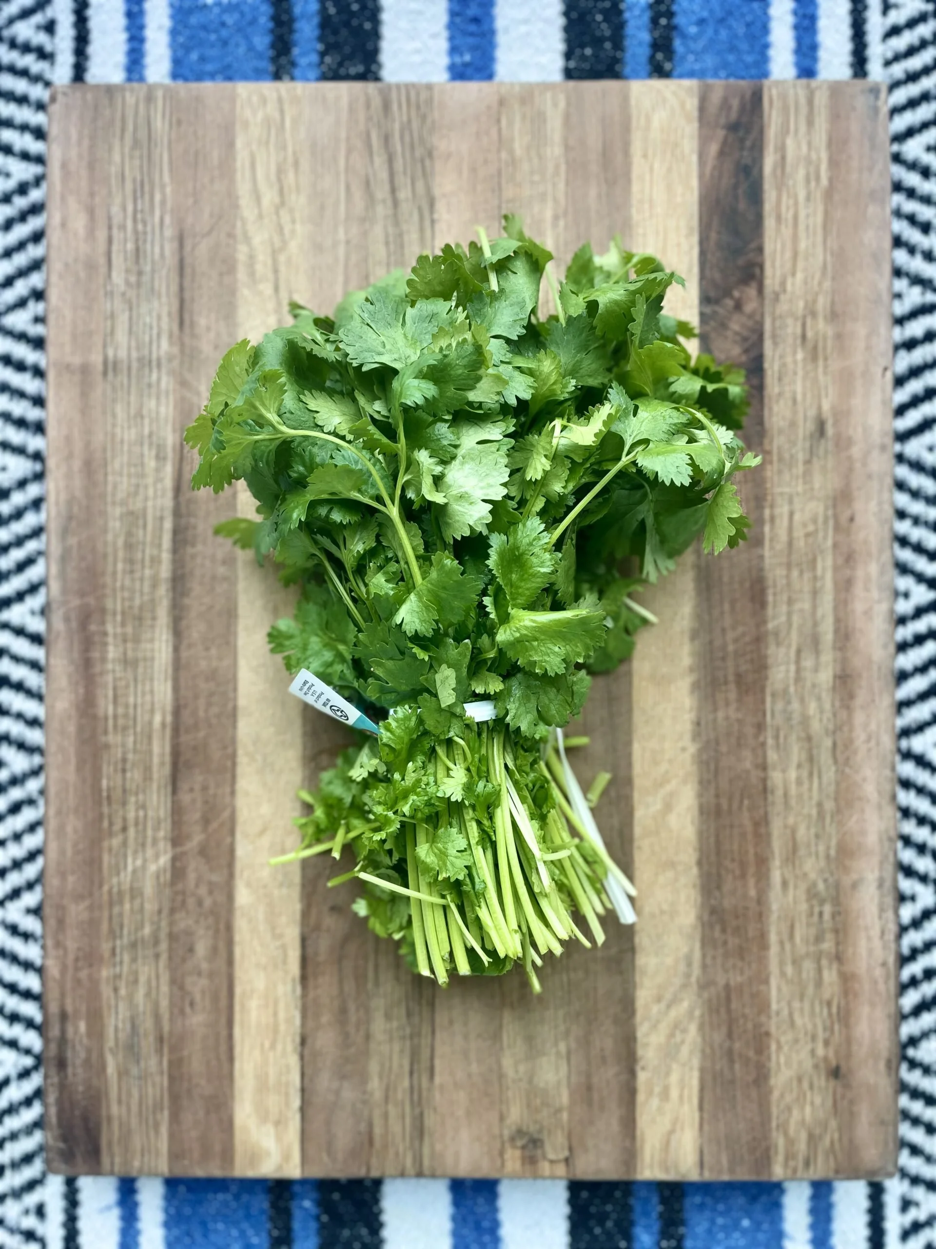 cilantro-jd-scaled.jpg