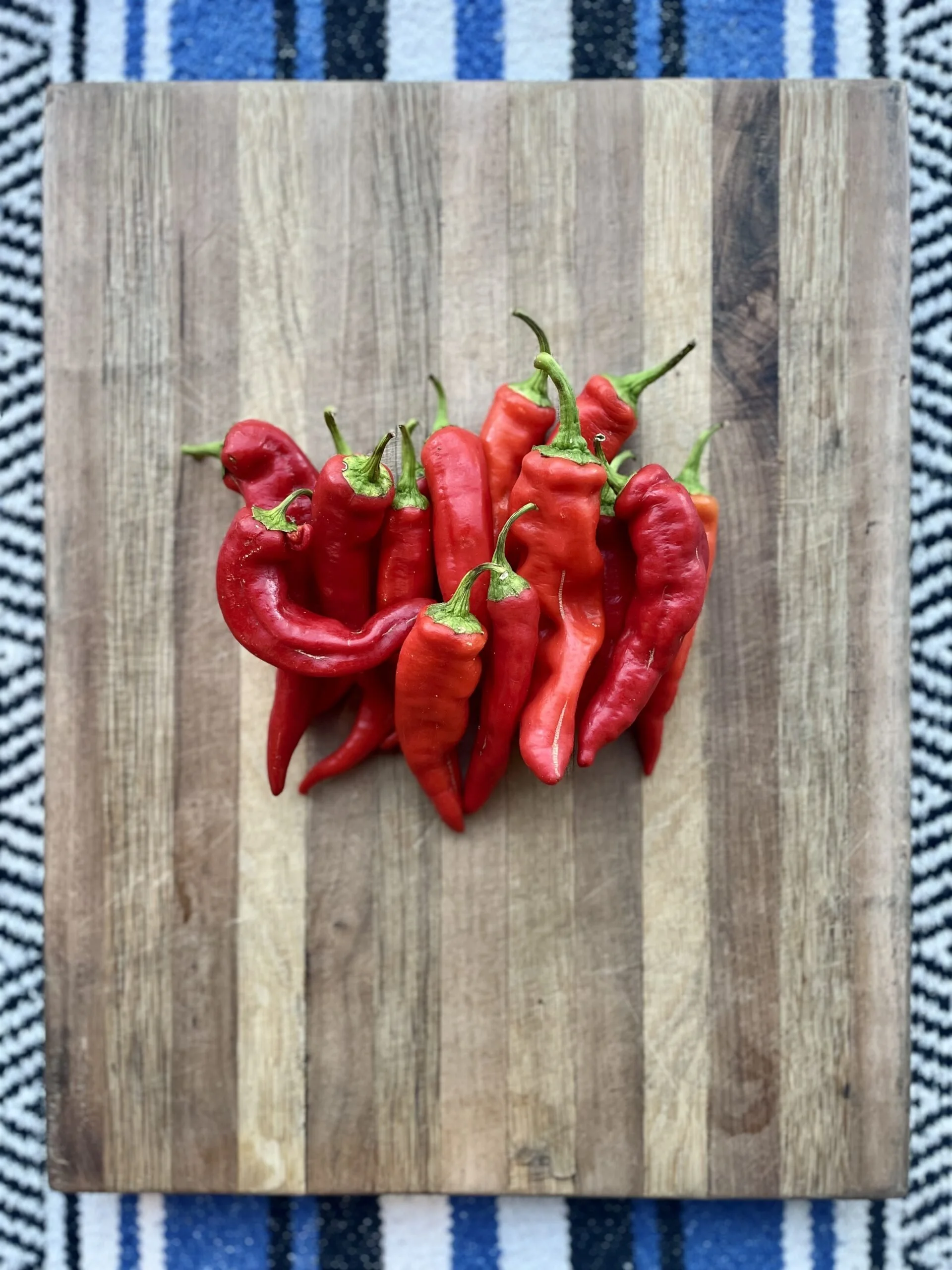 manganji-peppers-engel-scaled.jpg