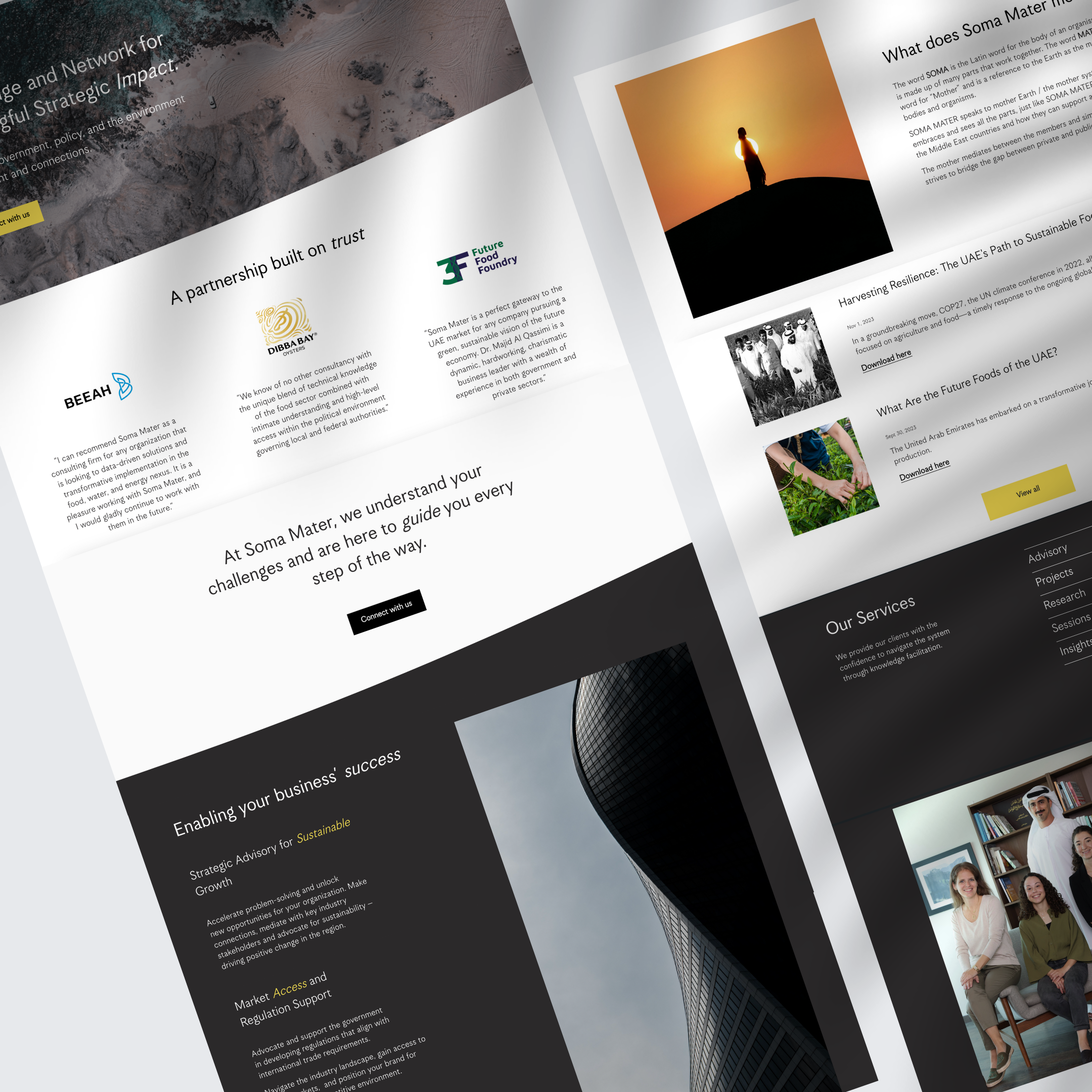 Soma Mater website design