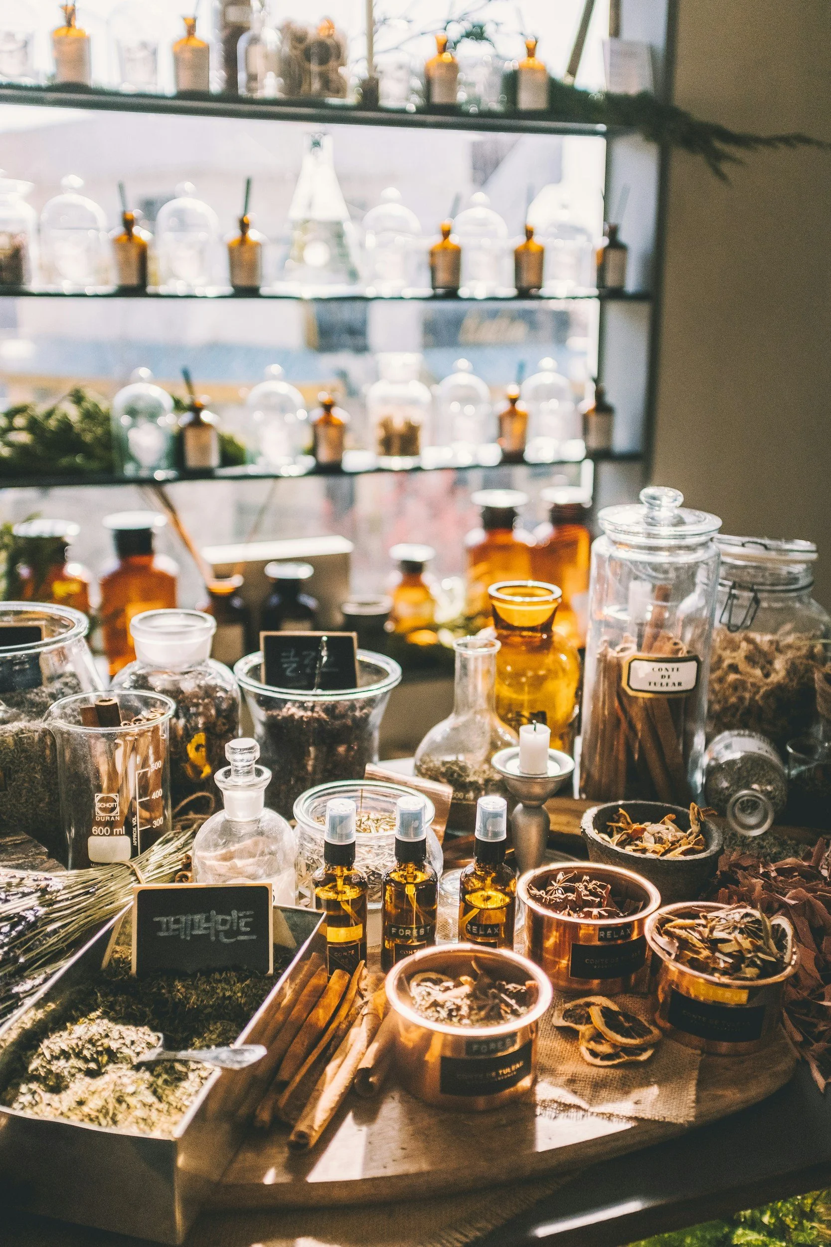 Holistic Health Navigator