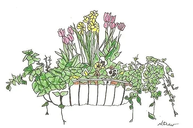Spring at Last (4"x6") micron pen