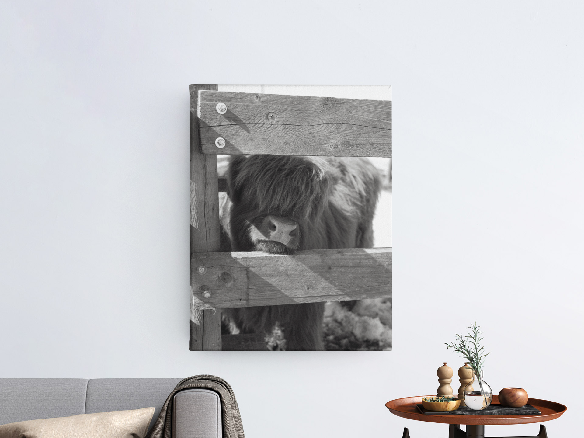 Highland Four Canvas.png