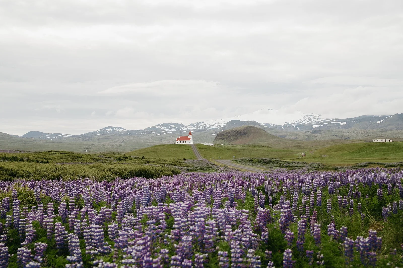 Iceland Adventure Photo Dump 