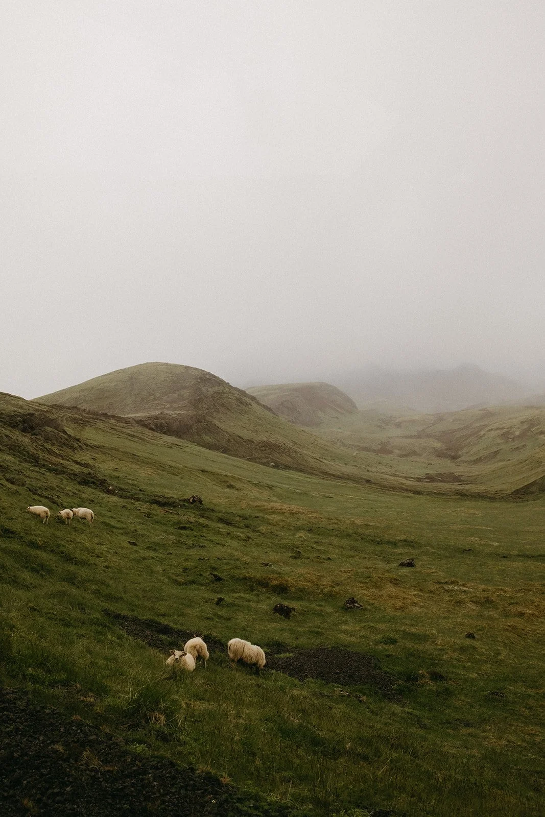 Iceland14.jpg