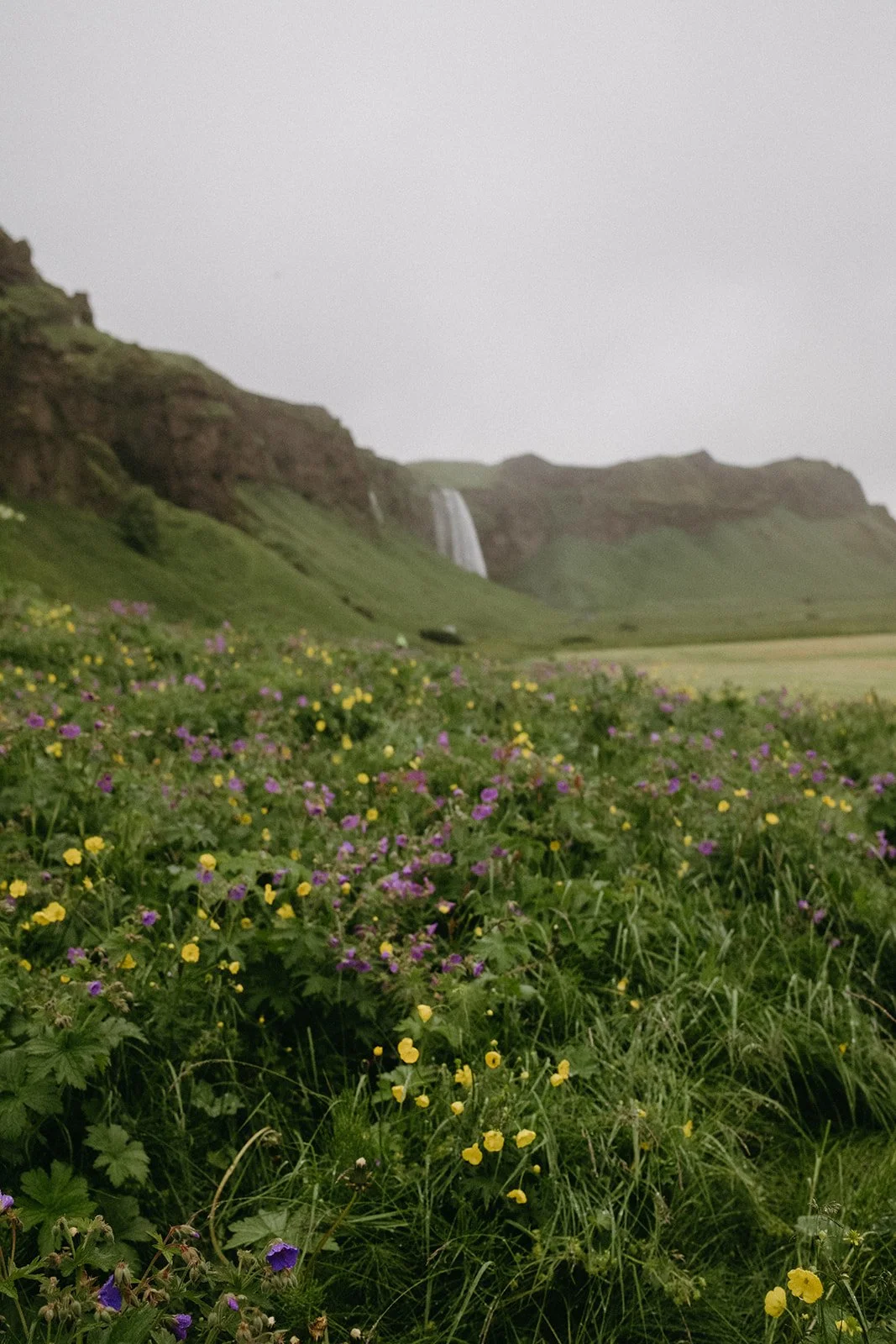 Iceland42.jpg