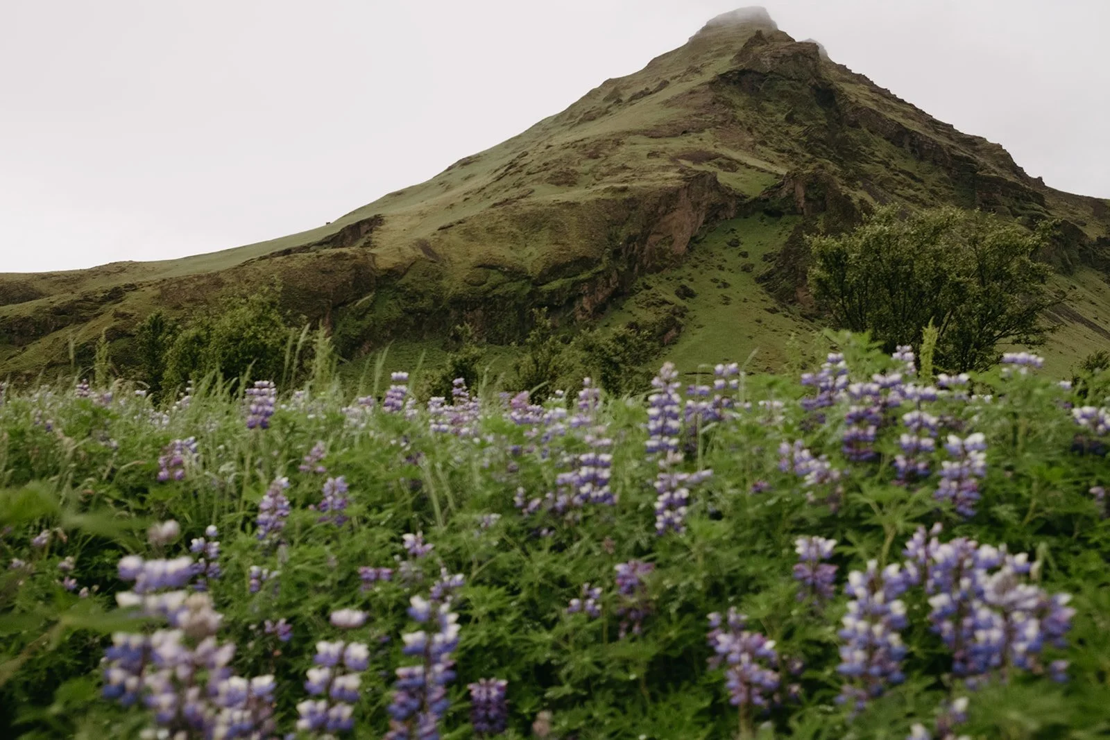 Iceland66.jpg