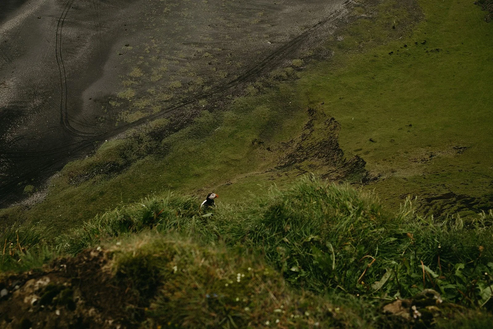Iceland121.jpg