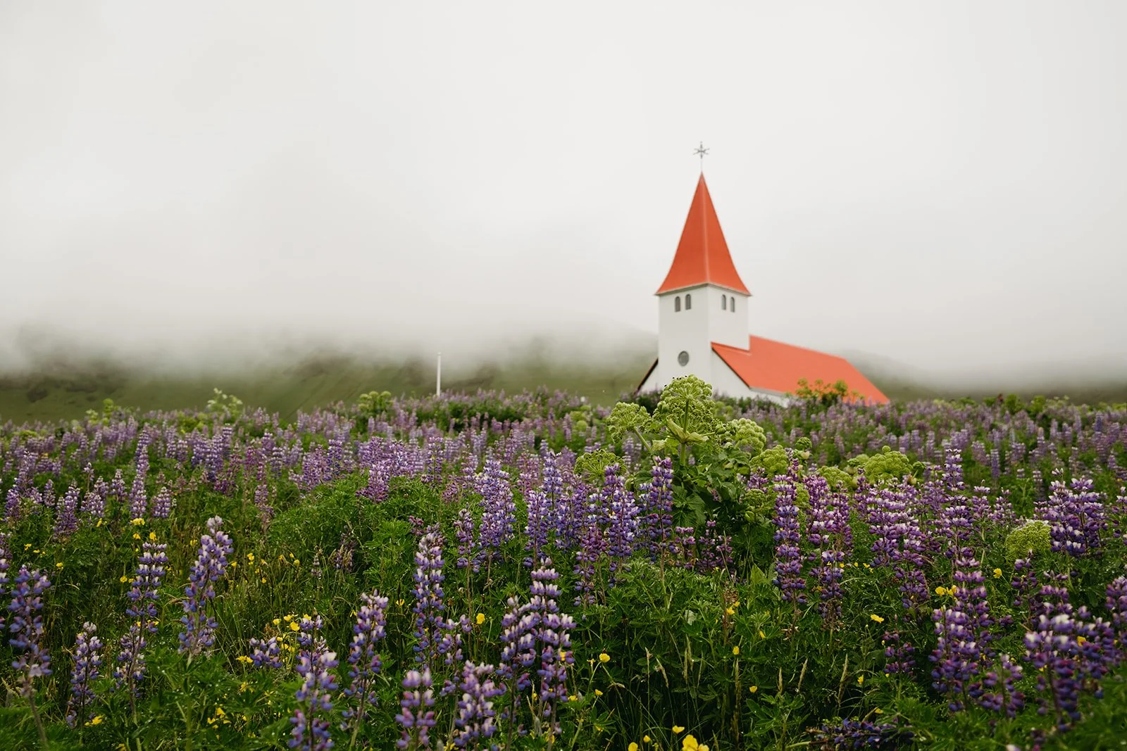 Iceland134.jpg