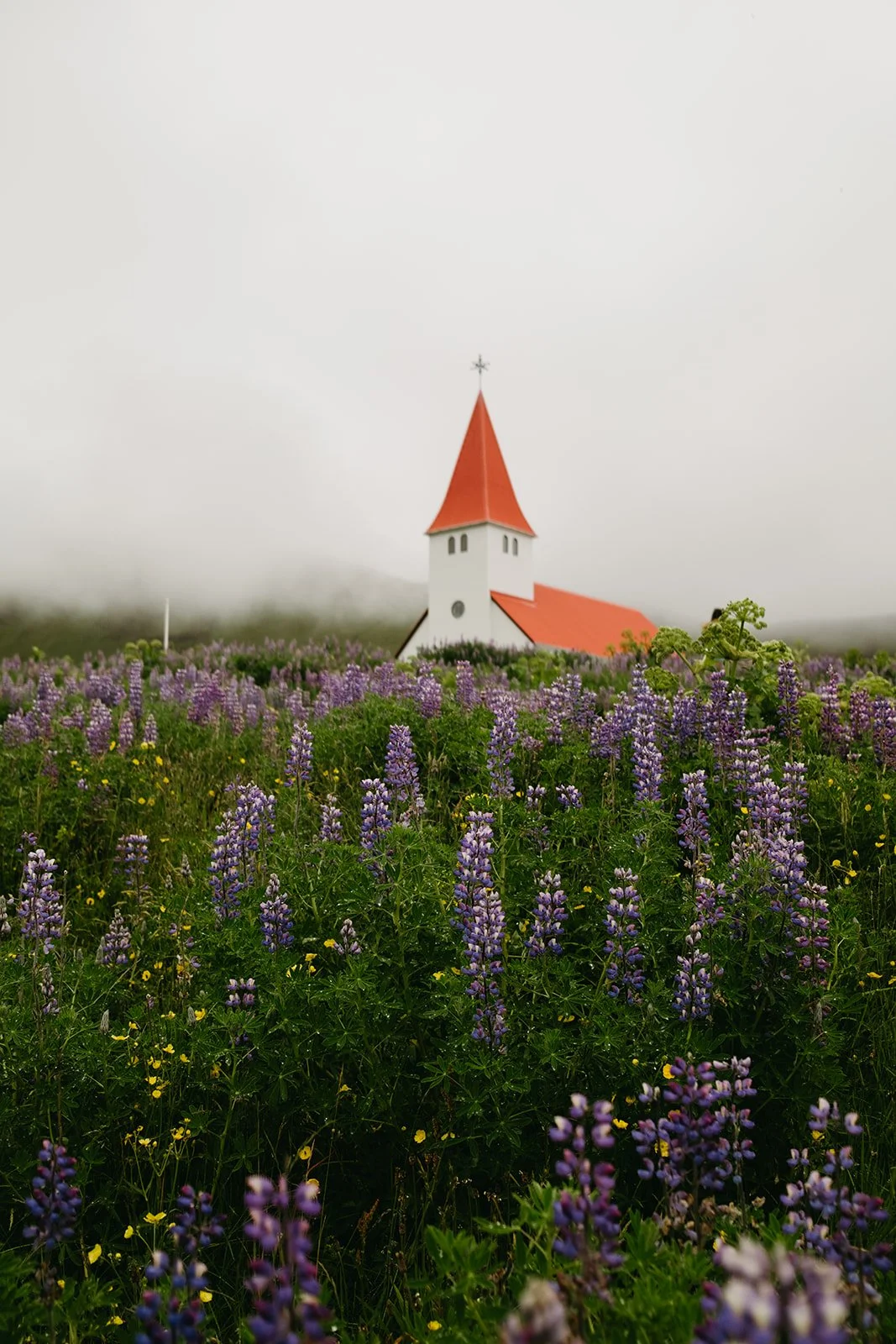Iceland136.jpg