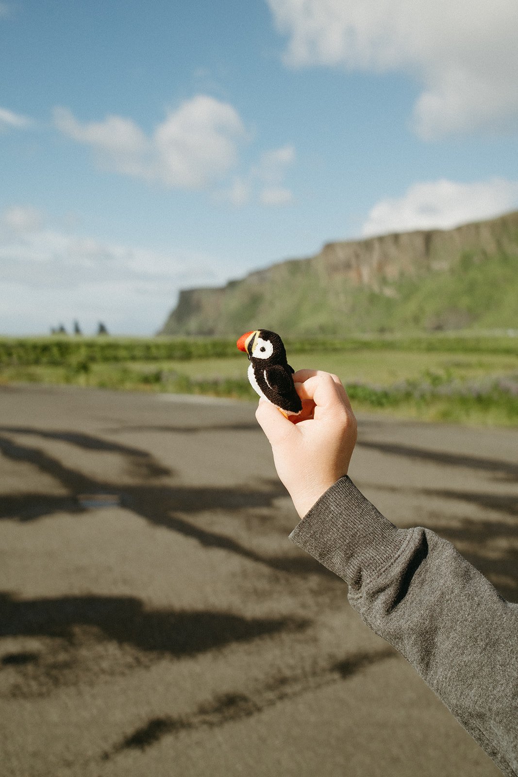 Iceland163.jpg