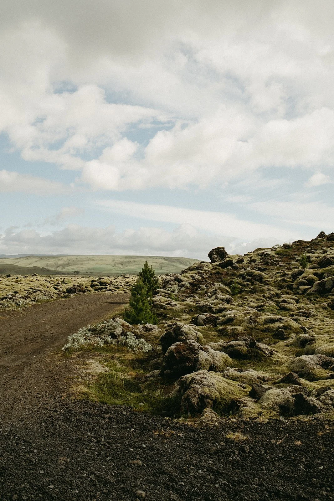 Iceland169.jpg