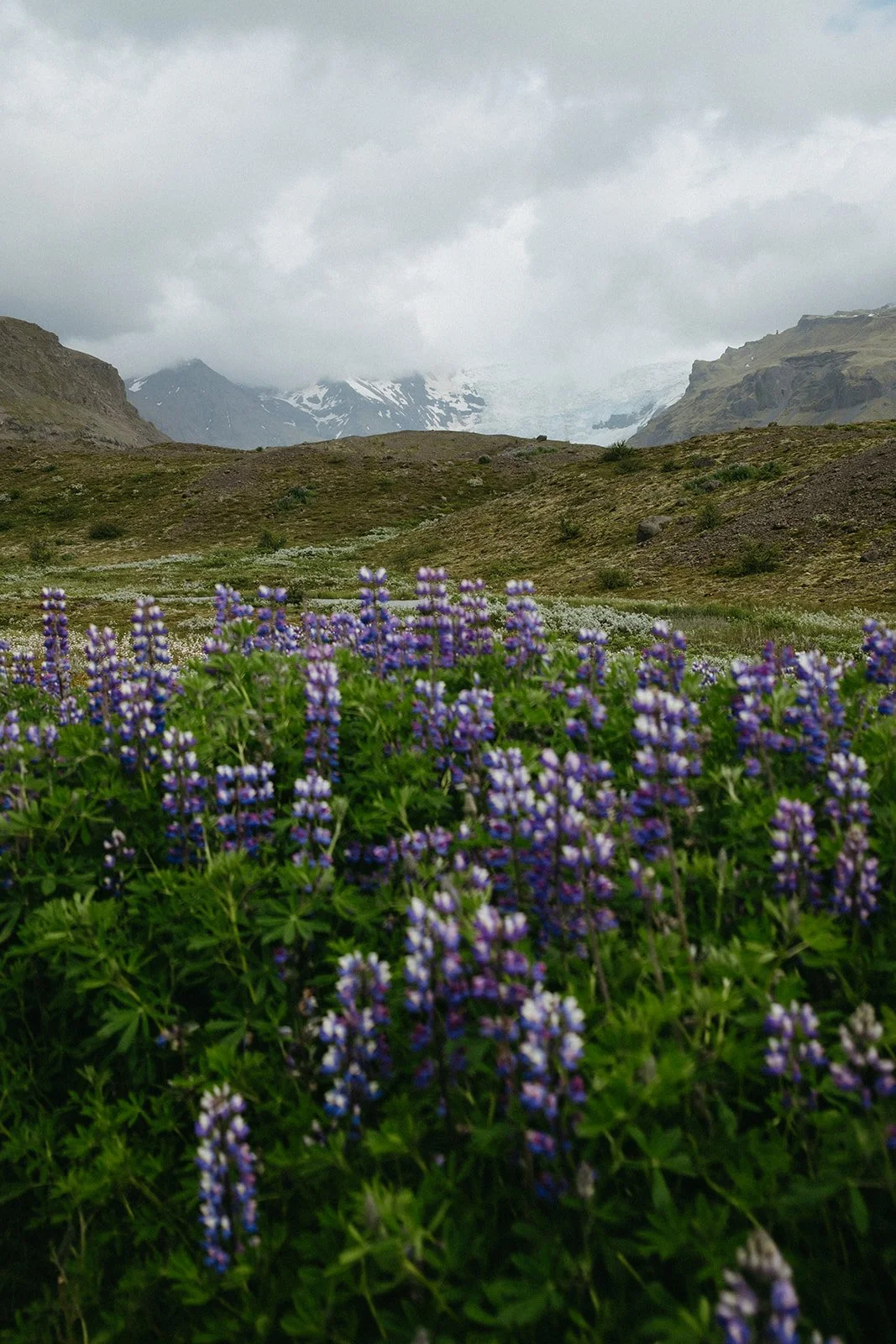 Iceland226.jpg