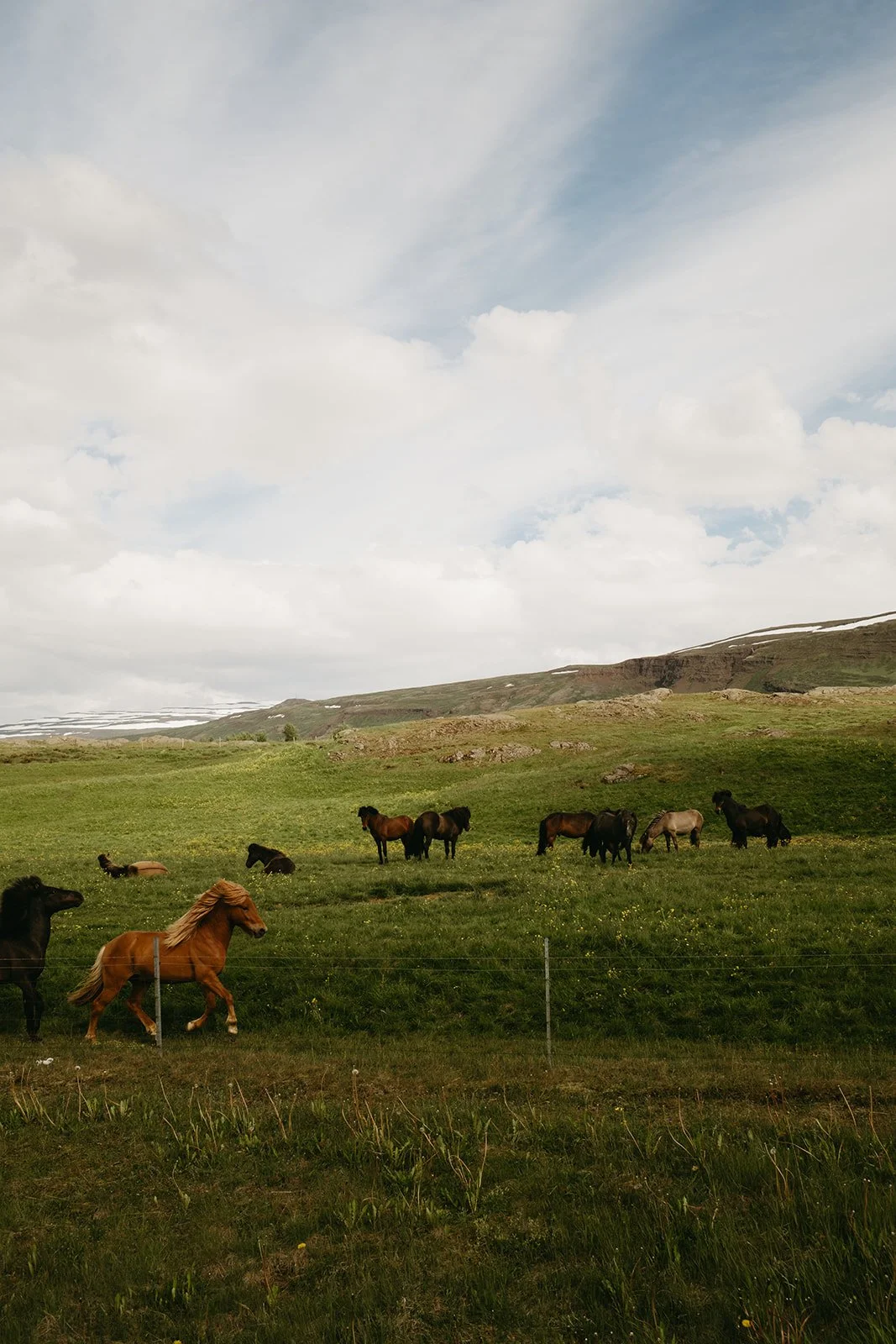 Iceland396.jpg