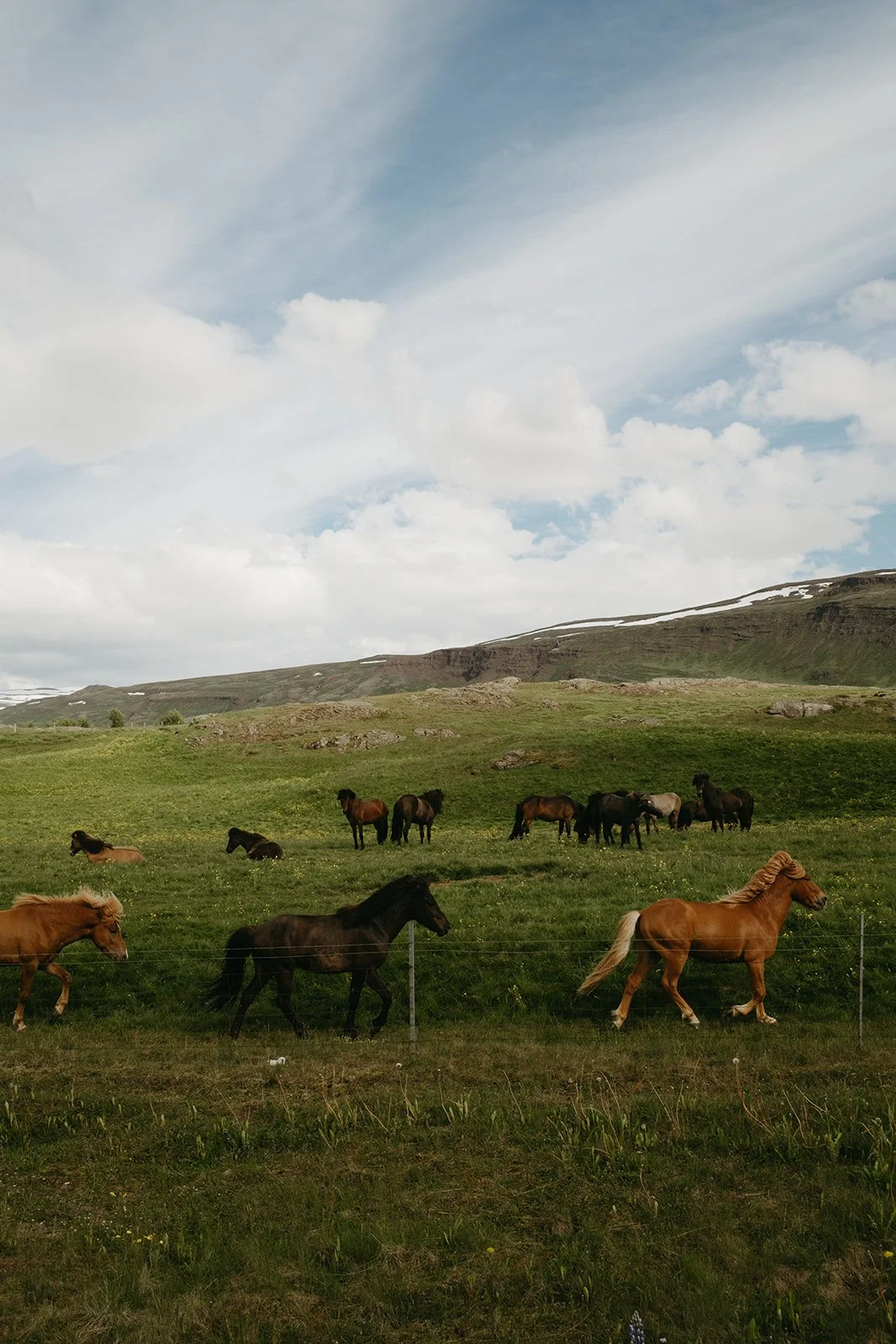 Iceland397.jpg