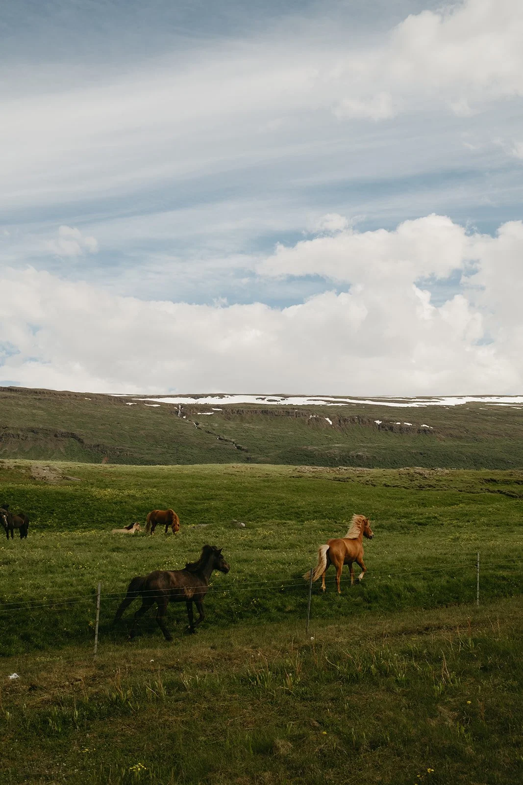 Iceland398.jpg