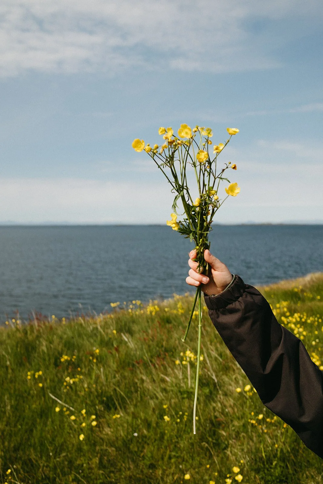 Iceland500.jpg