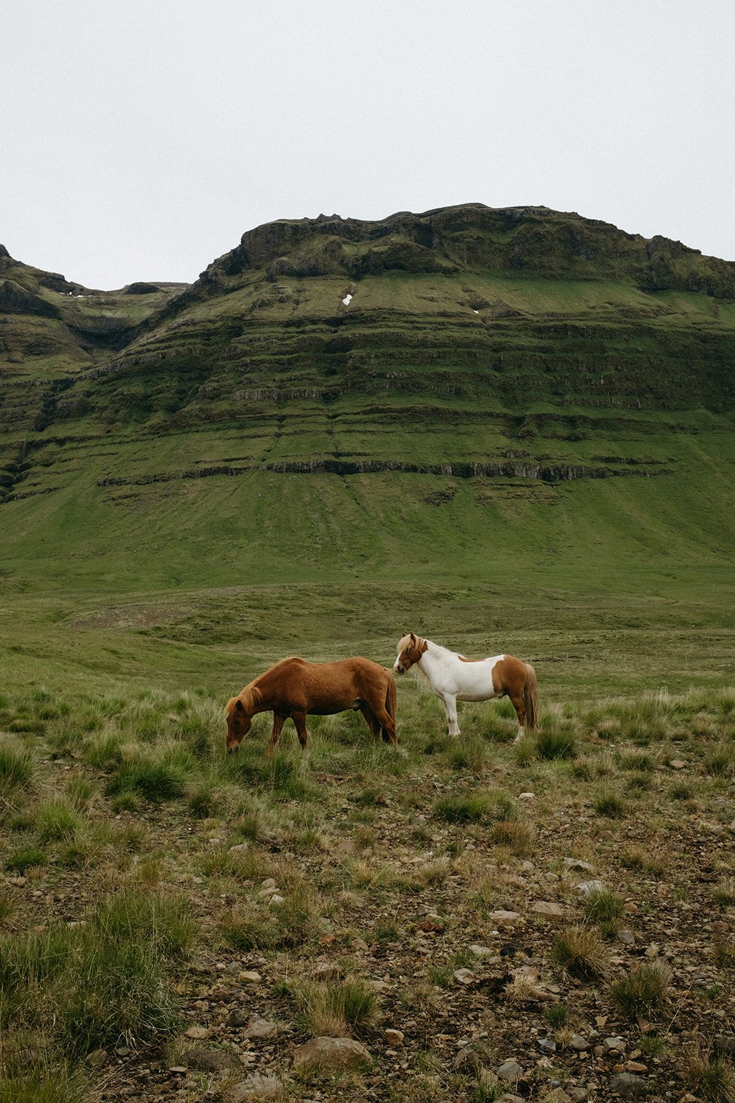 Iceland525.jpg