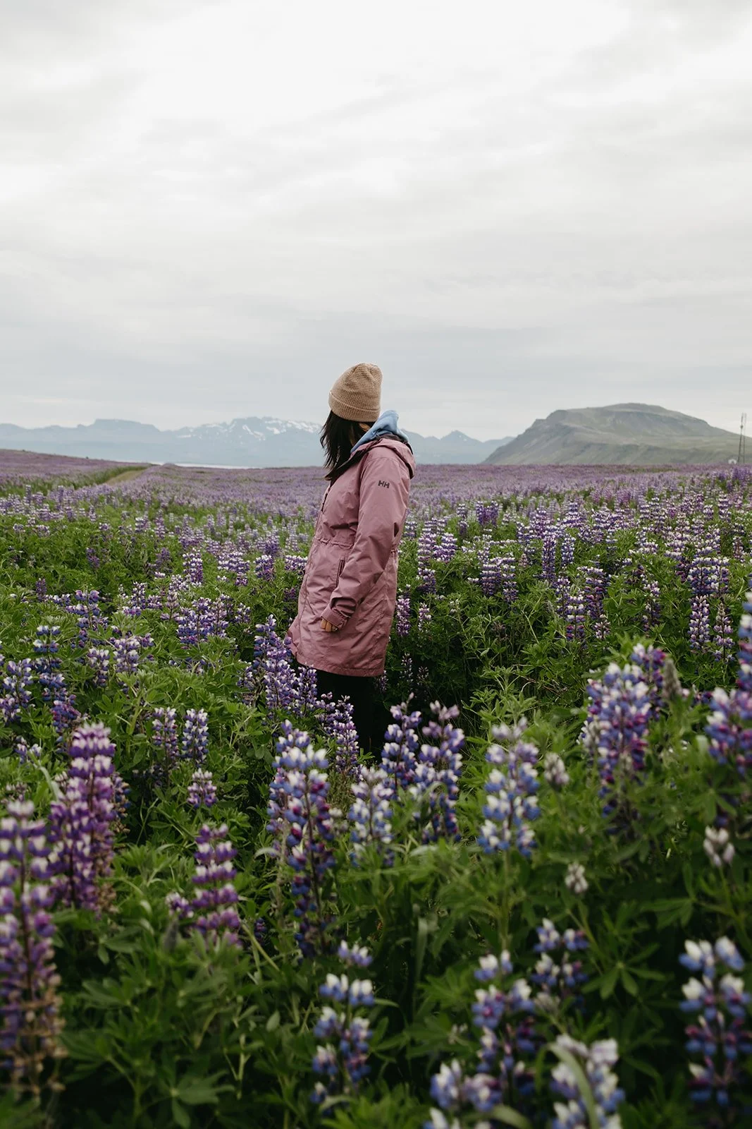 Iceland567.jpg