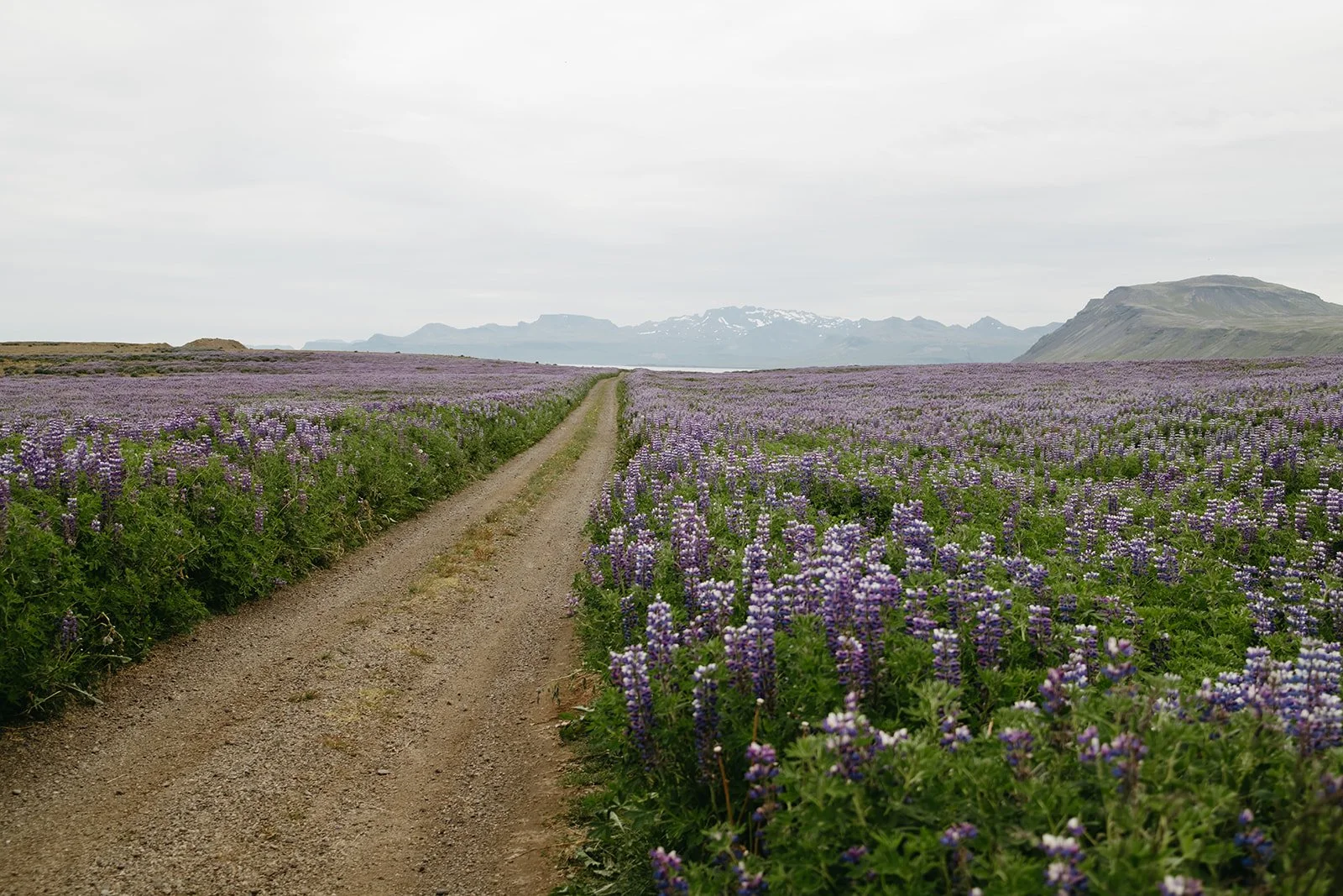 Iceland568.jpg