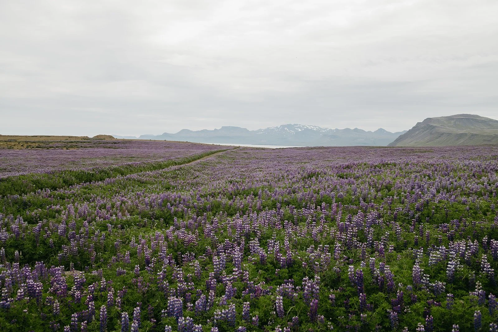 Iceland569.jpg