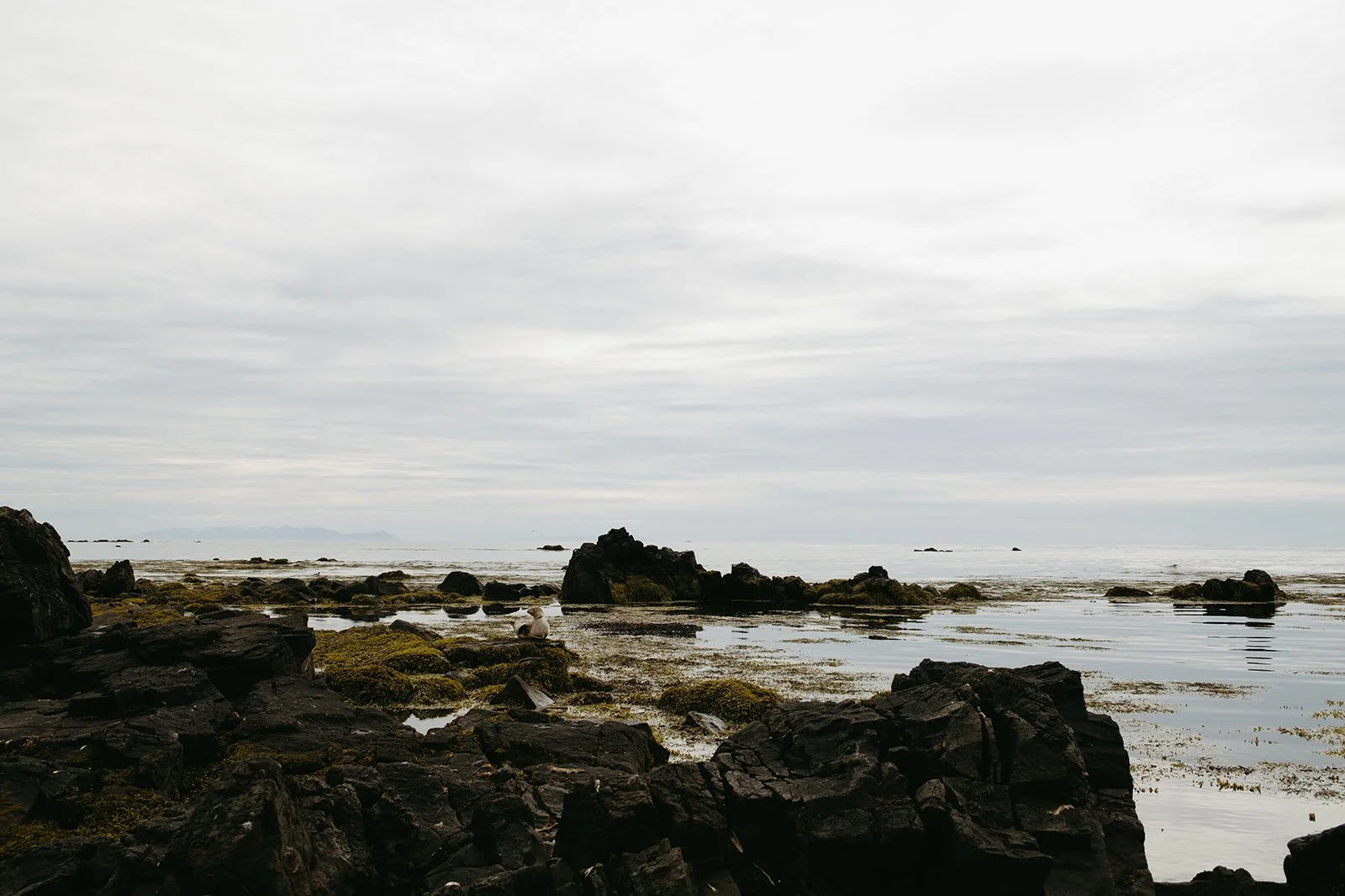 Iceland590.jpg