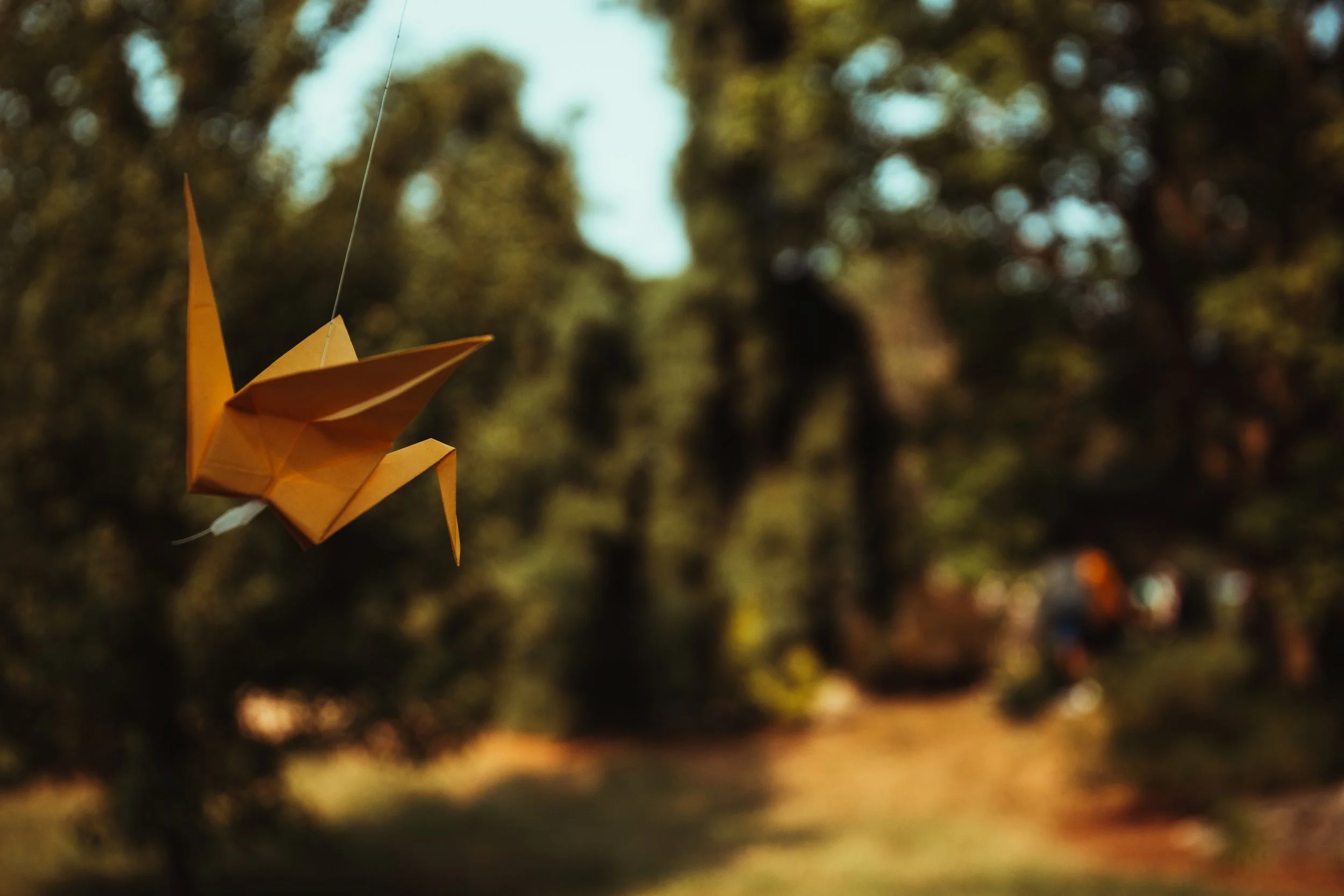 BS Photo Sample (11).jpg