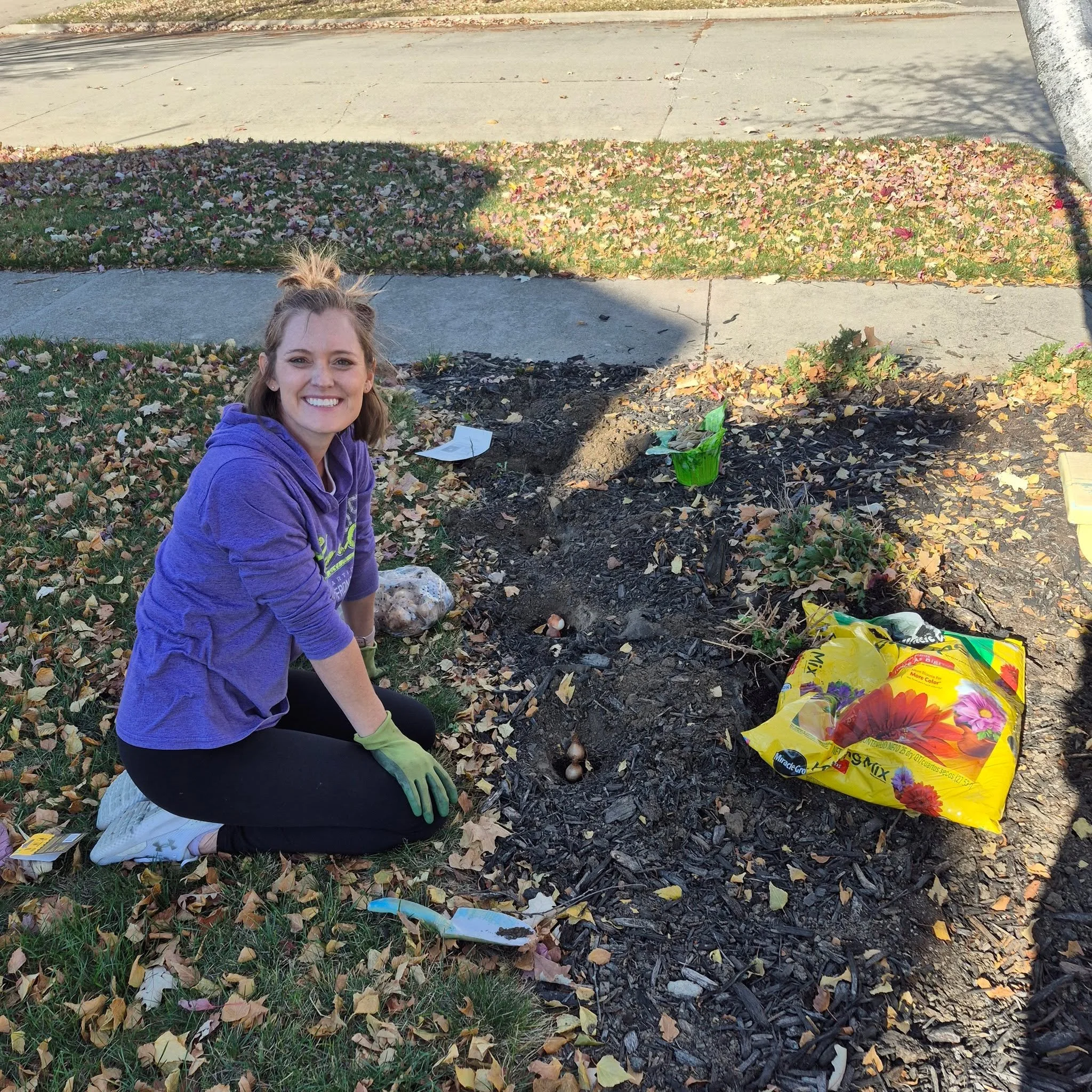 I tucked my tulips in for winter just in time. That night the rains rained and then the snow whirled. The world, or Illinois at least, is ready to winter.
The sun still rises in winter. And six inches deep, in frozen soil zig-zagged with the roots of