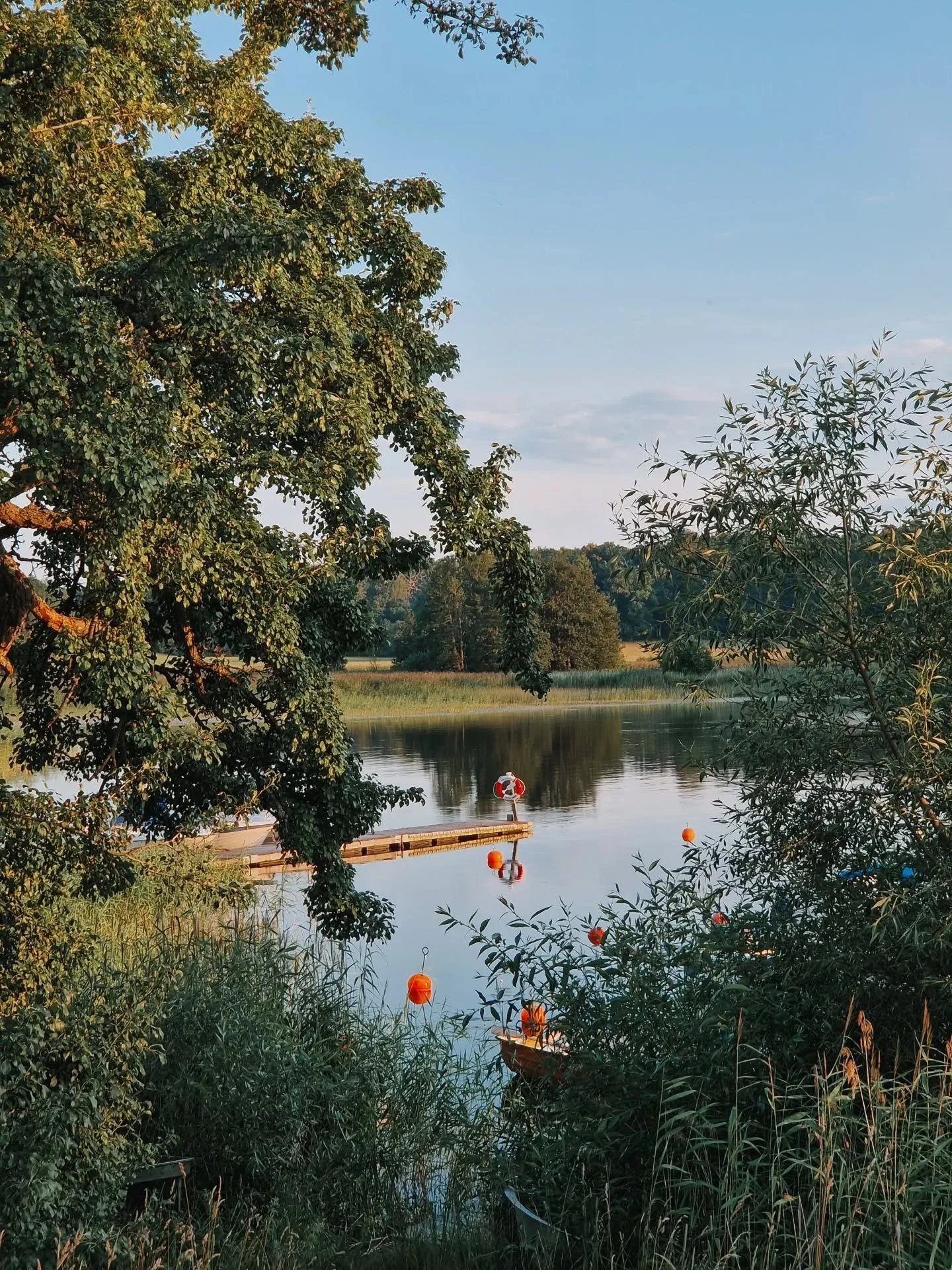 &Ouml;sterg&ouml;tland! 🧡💙

Ekskog &amp; &aring;kermark, sj&ouml;ar &amp; sk&auml;rg&aring;rd - och en v&auml;ldig massa annat! Gillar't hur som helst! 

.
.
.
.
.
.
.
#&Ouml;sterg&ouml;tland