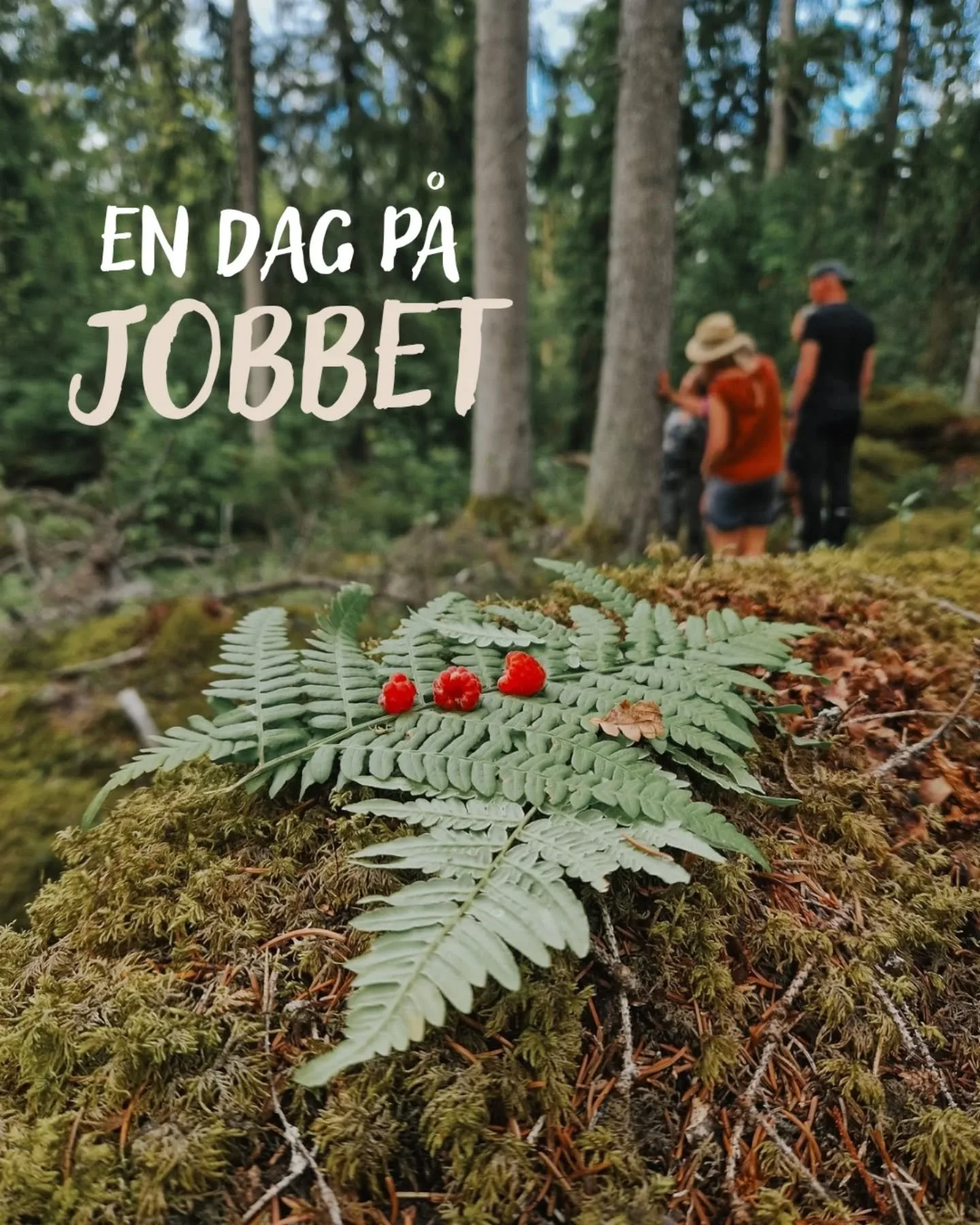 Denna veckan &auml;r jag p&aring; kurs f&ouml;r att l&auml;ra mig mer om Ekopsykologi och hur jag kan integrera det i mitt arbete. 🌿 Det &auml;r faktiskt en hel utbildning som p&aring;g&aring;r ett &aring;r, men p&aring; distans d&aring;, parallellt