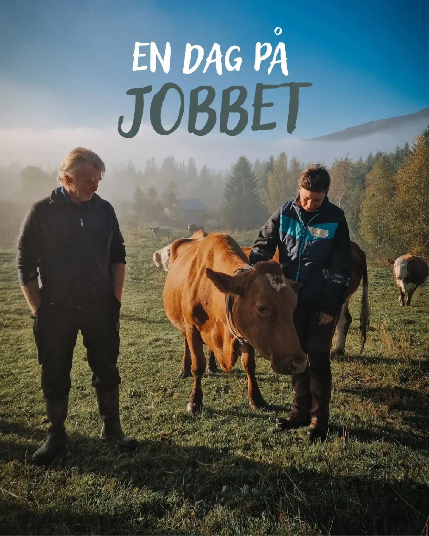 &quot;Va, jobbar hon med kor nu?&quot;, hann du kanske t&auml;nka n&auml;r du s&aring;g texten p&aring; bilden...

Nej, eller nja...

F&ouml;r att djupare kunna f&ouml;rst&aring; regenerativitet g&aring;r jag i &aring;r en utbildning i &quot;Regenera