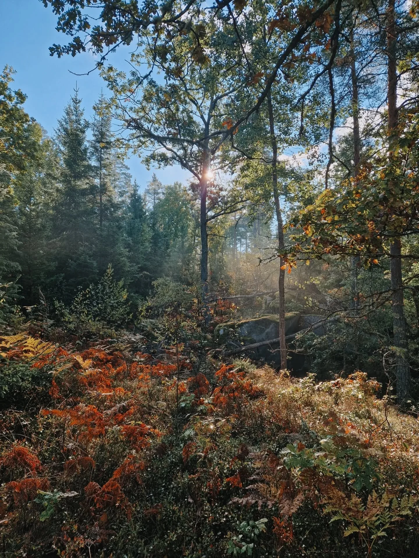 Gamleby &auml;r ett riktigt fint st&auml;lle, vilka omgivningar!
Spenderade ett par dagar h&auml;r under kursen i Ekopsykologi och kan l&auml;tt &aring;ka tillbaka f&ouml;r att h&auml;nga h&auml;r oftare. 

Gillar ocks&aring; skarpt hur l&ouml;ven f&