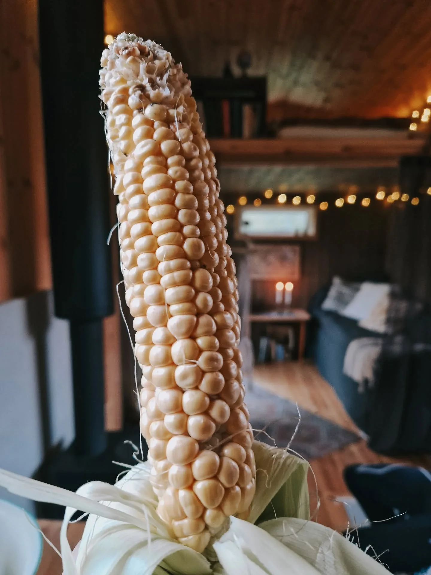 Blir vi majsb&ouml;nder n&auml;sta &aring;r? 🌽

Nu b&ouml;rjar jag bli sugen p&aring; att utv&auml;rdera &aring;ret i k&ouml;kstr&auml;dg&aring;rden. Vad &auml;r v&auml;rt att satsa mer p&aring; till n&auml;sta &aring;r, och vad ska vi satsa mindre 