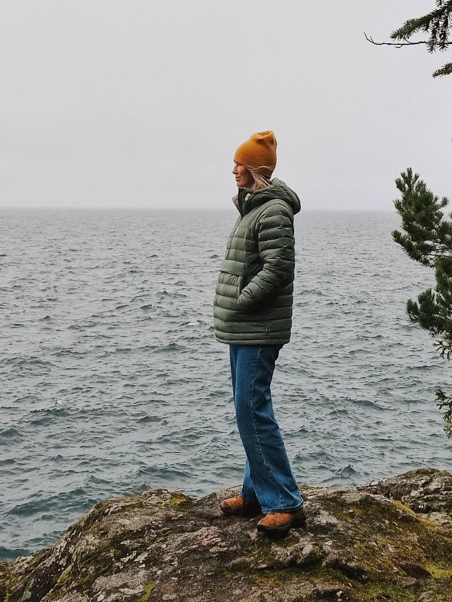 “We go to wilderness places to be restored, to be instructed in the natural. // We must not go there to escape, such an escape is now illusory. “
~ ~ ~
Jag tipsade ju om boken The World-Ending Fire med Wendell Berry häromdagen, och