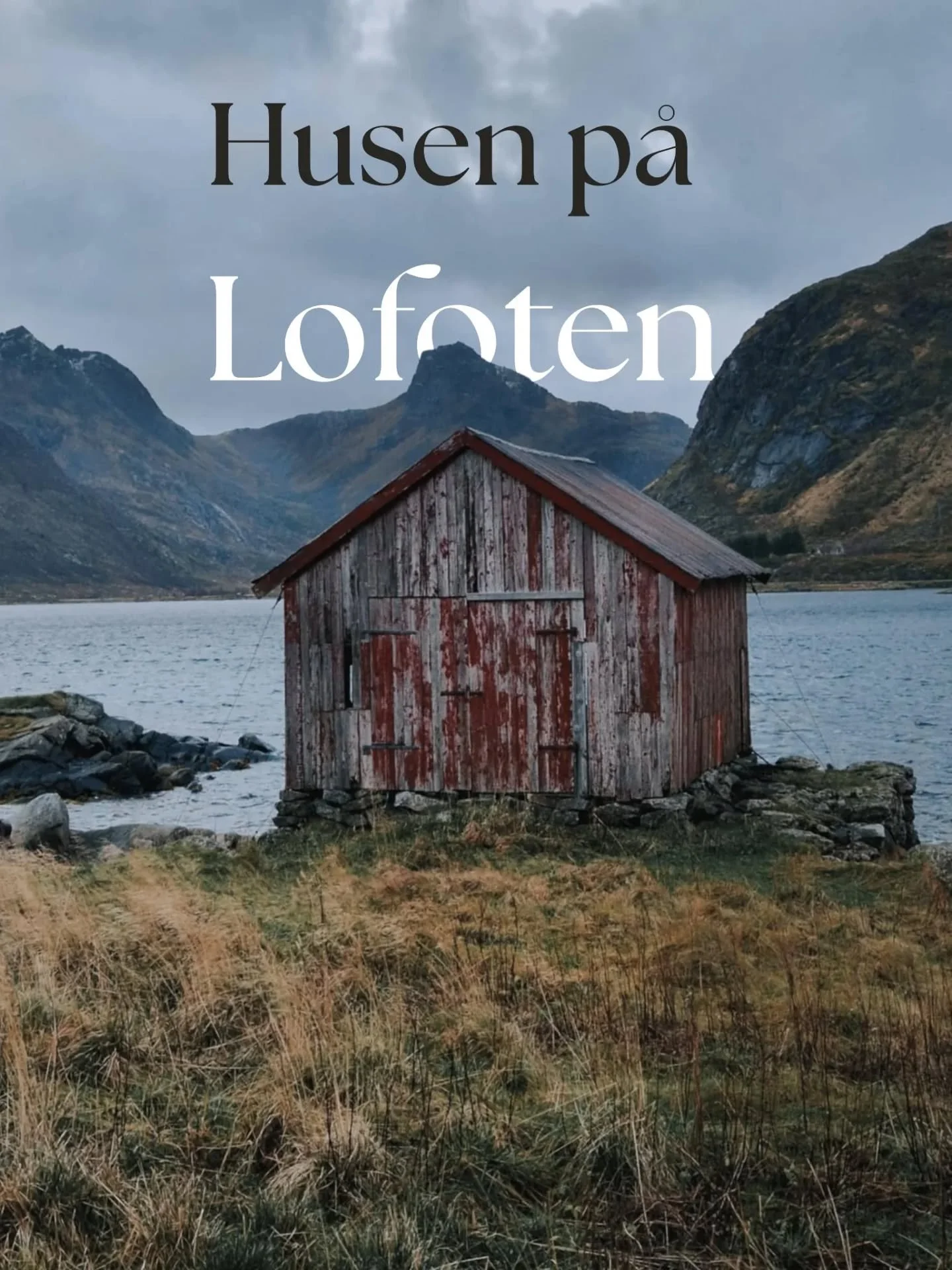 Husen p&aring; Lofoten... ja, hur snygga &auml;r de inte? ➡️

Men en sak jag inte riktigt kunde sl&auml;ppa &auml;r att de flesta av dem verkar vara byggda runt 40- &amp; 50-talet.🏡 St&auml;mmer det?

&Auml;ldre bebyggelse tycks vara obefintlig och 