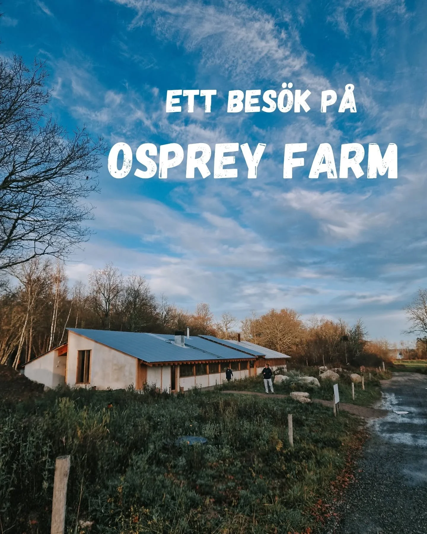 Tillsammans med Byggnadsv&aring;rdsg&auml;nget g&auml;stade vi Osprey Farm Studio @ospreyfarm utanf&ouml;r Str&auml;ngn&auml;s! 

H&auml;r har de fram till oktober Farmers Market med gr&ouml;dor fr&aring;n g&aring;rden, samt olika events, konferenser