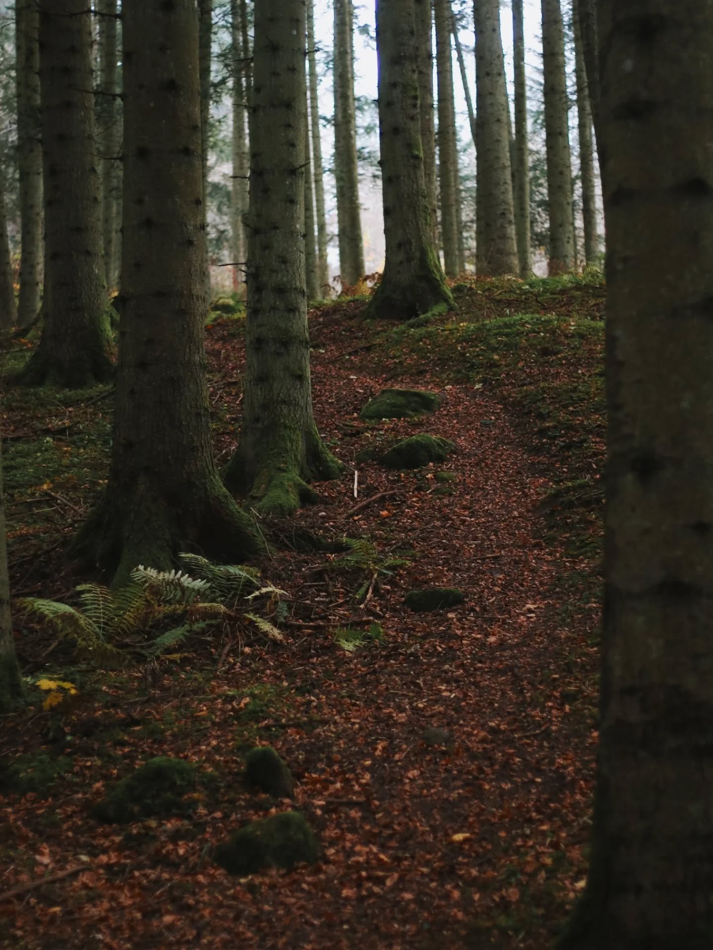 &ldquo;Does this path have a heart? All paths are the same: they lead nowhere. They are paths going through the bush, or into the bush. //

Does this path have a heart? If it does, the path is good: if it doesn&rsquo;t, it is of no use. Both paths le