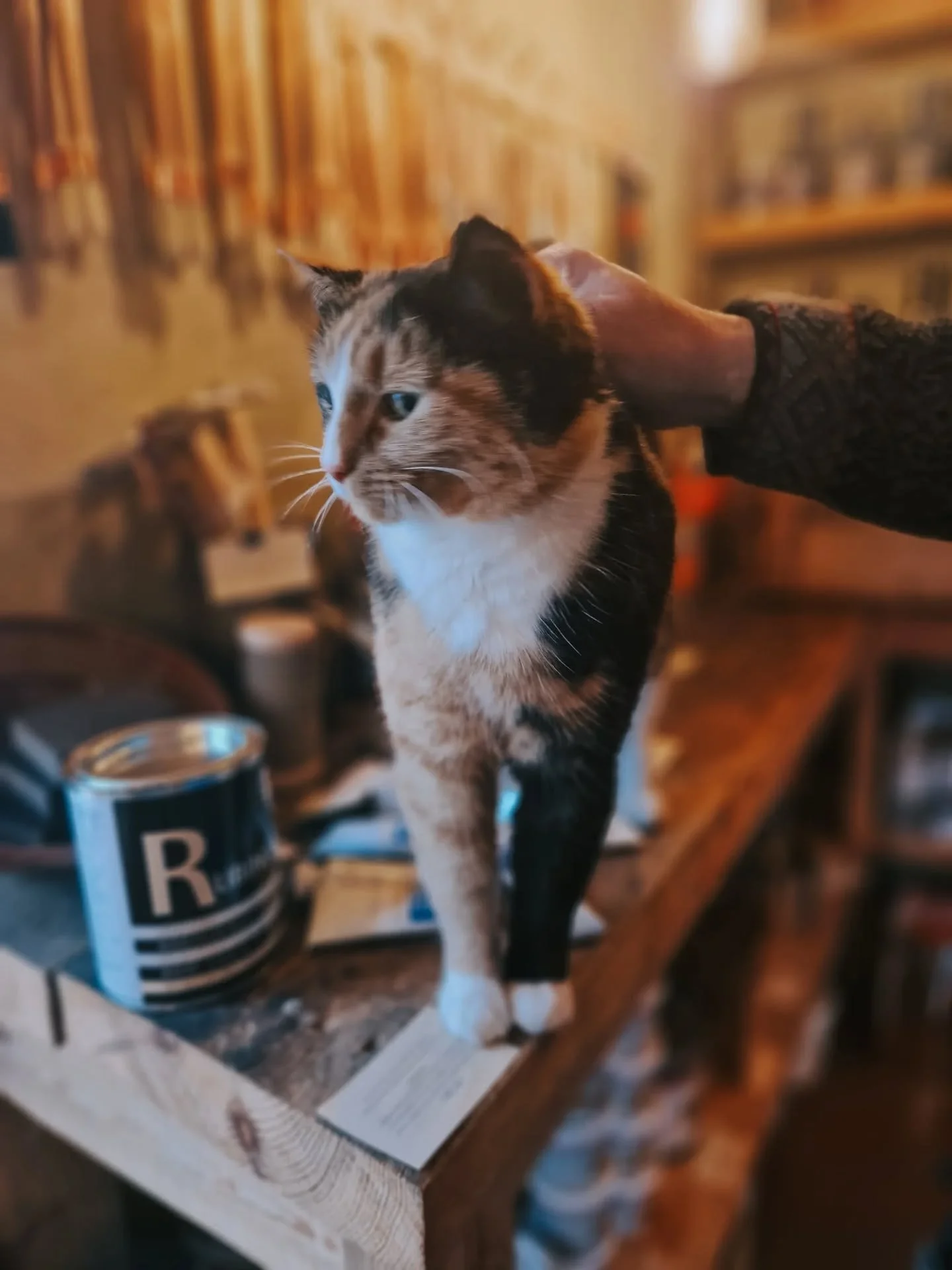 V&auml;sterg&ouml;tland i mitten av en gr&aring;disig novembervecka! 👌🏻

Min mor och jag drog till v&aring;ra f&ouml;rf&auml;ders hoods i V&auml;sterg&ouml;tland i en tid som v&auml;l f&aring;r s&auml;gas &auml;r lite off-season. Men f&ouml;r det &