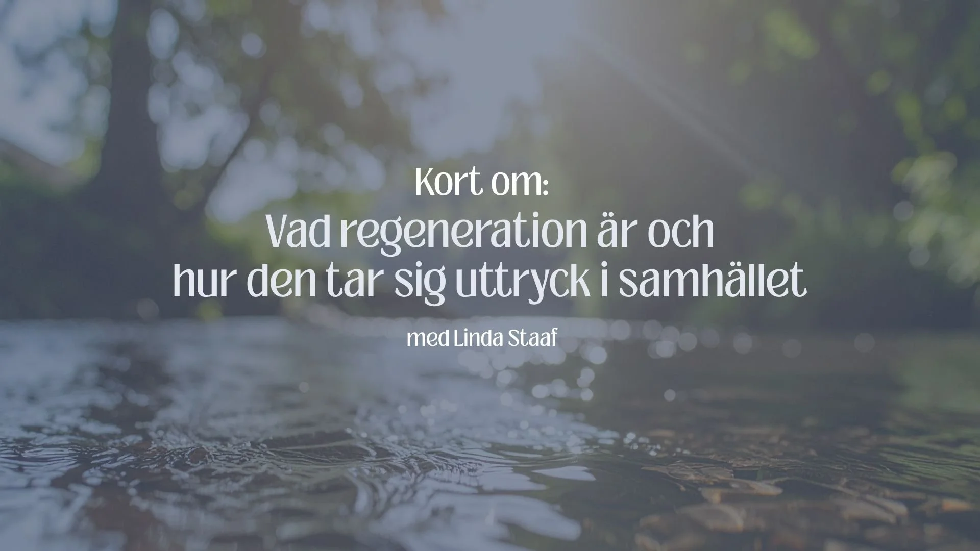 Vad regeneration är och hur det tar plats i samhället