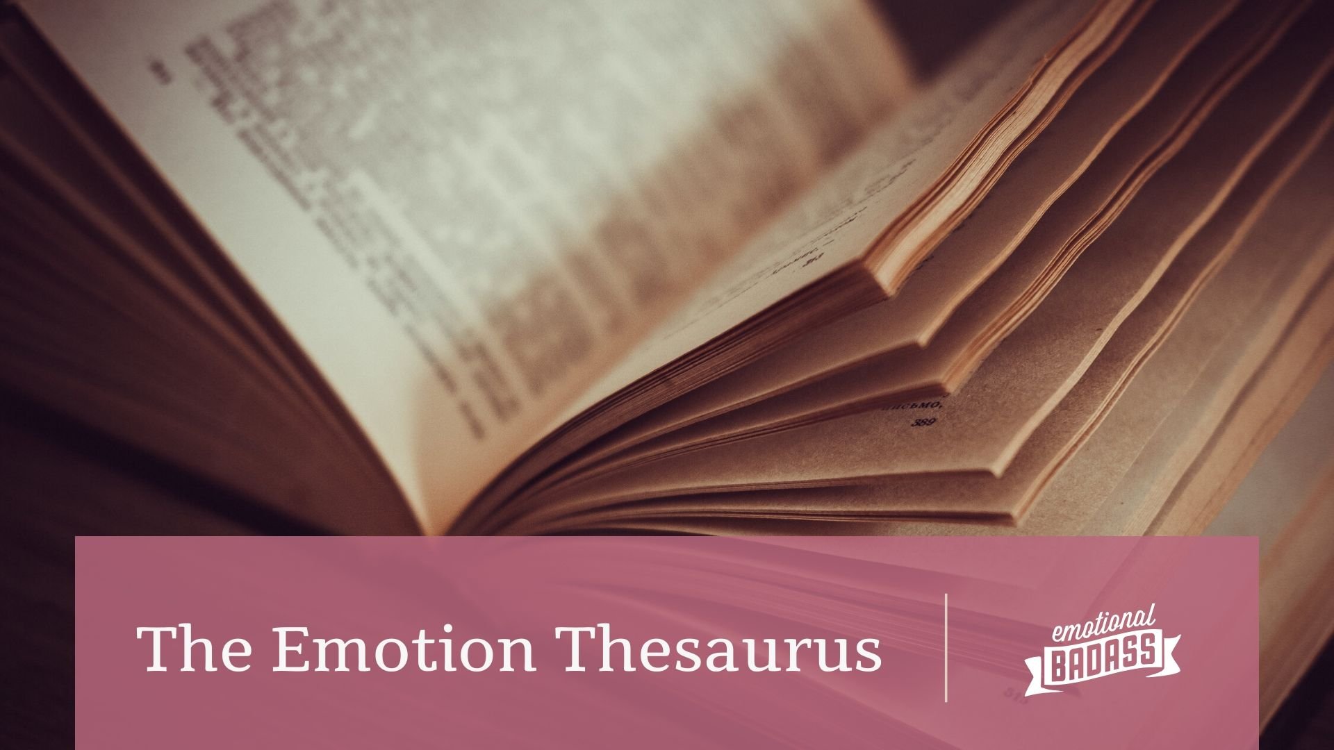 The Emotion Thesaurus: A Writer's Guide To Character Expression