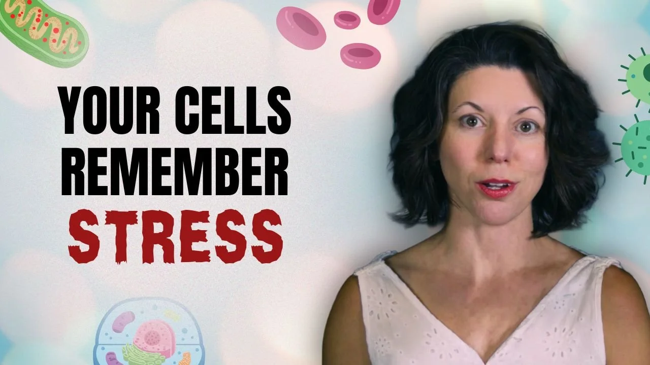 The Health Crisis Hiding Inside Your Stress Habit
