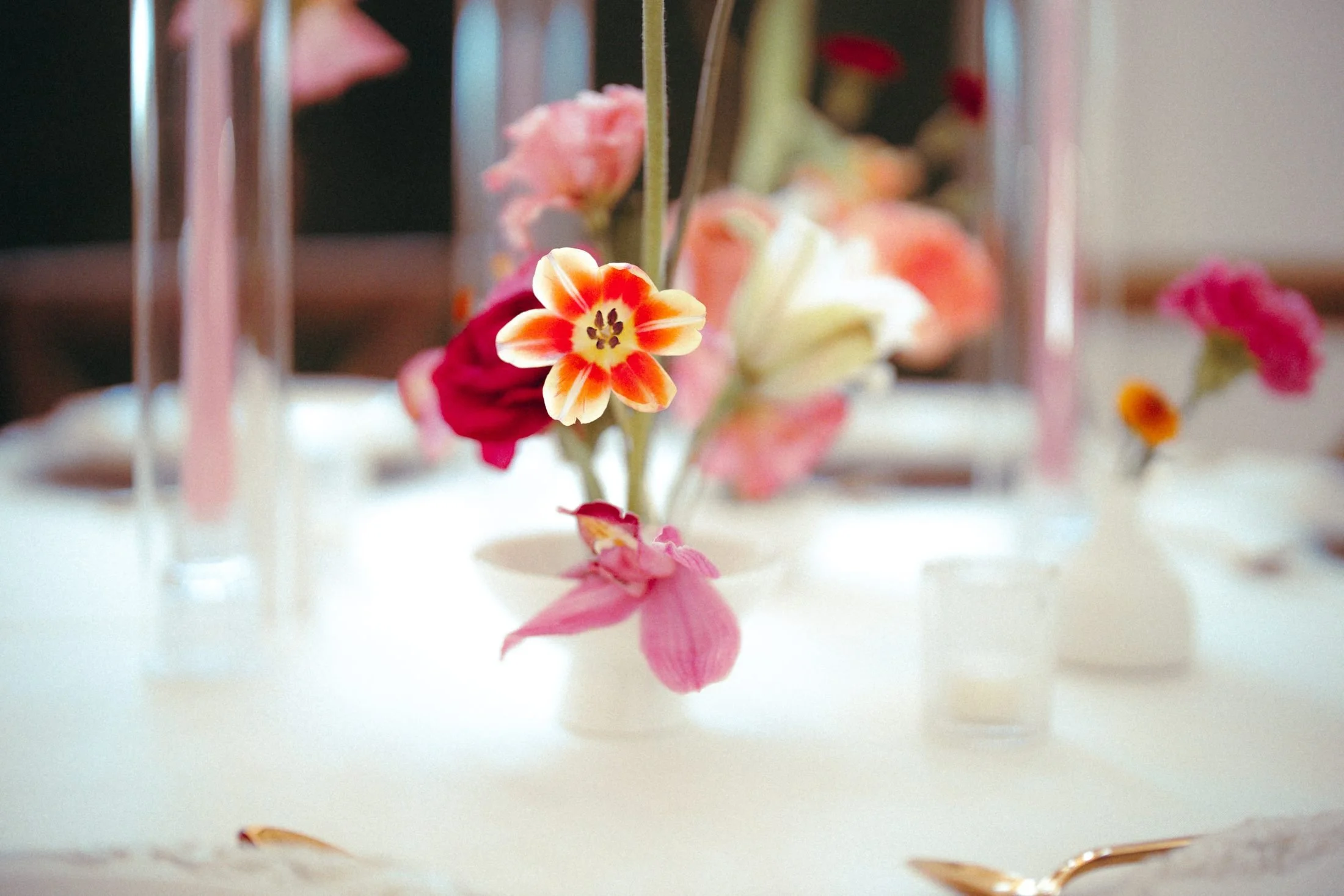 pop-of-luxe-img-7194.jpg