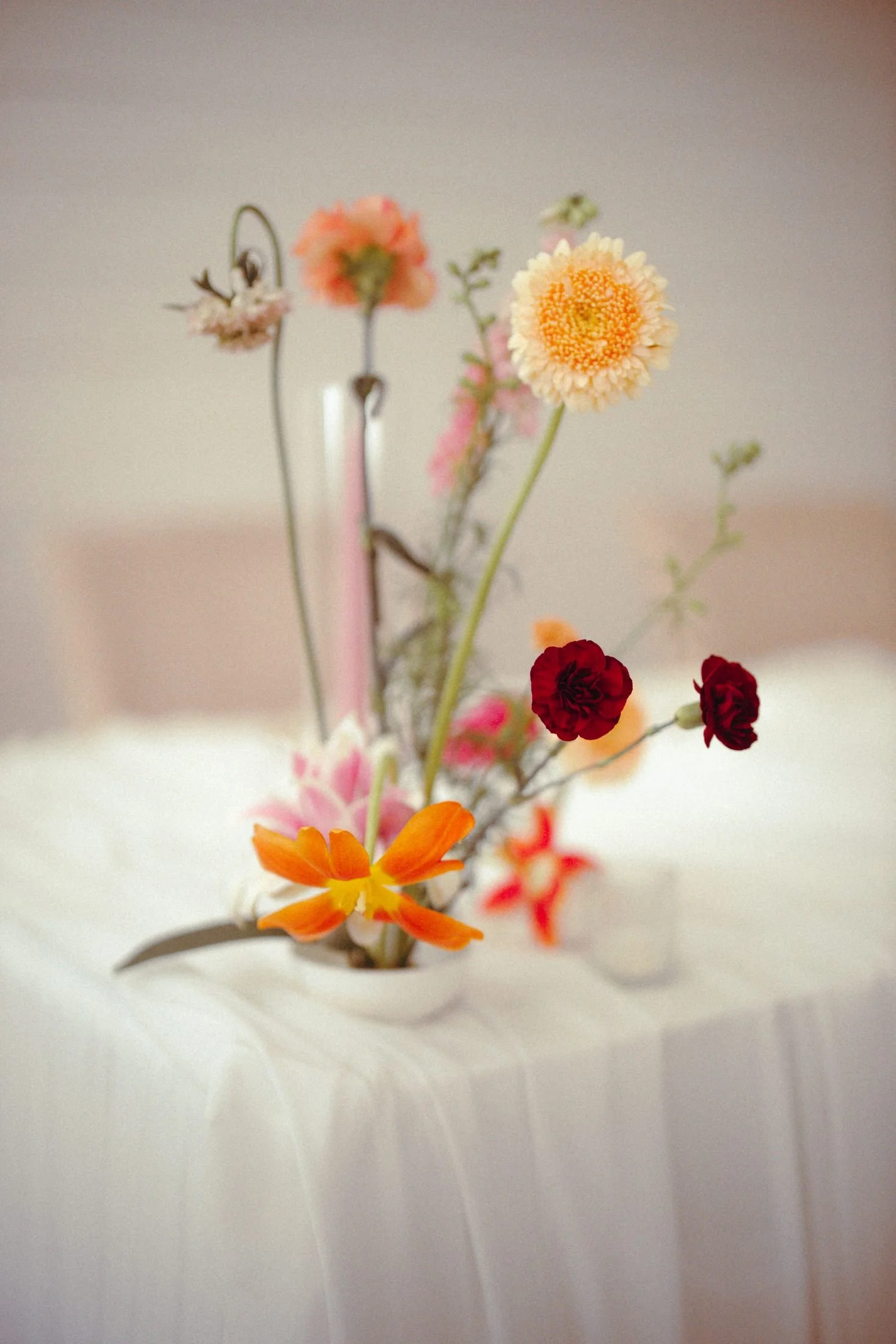 pop-of-luxe-img-7158.jpg