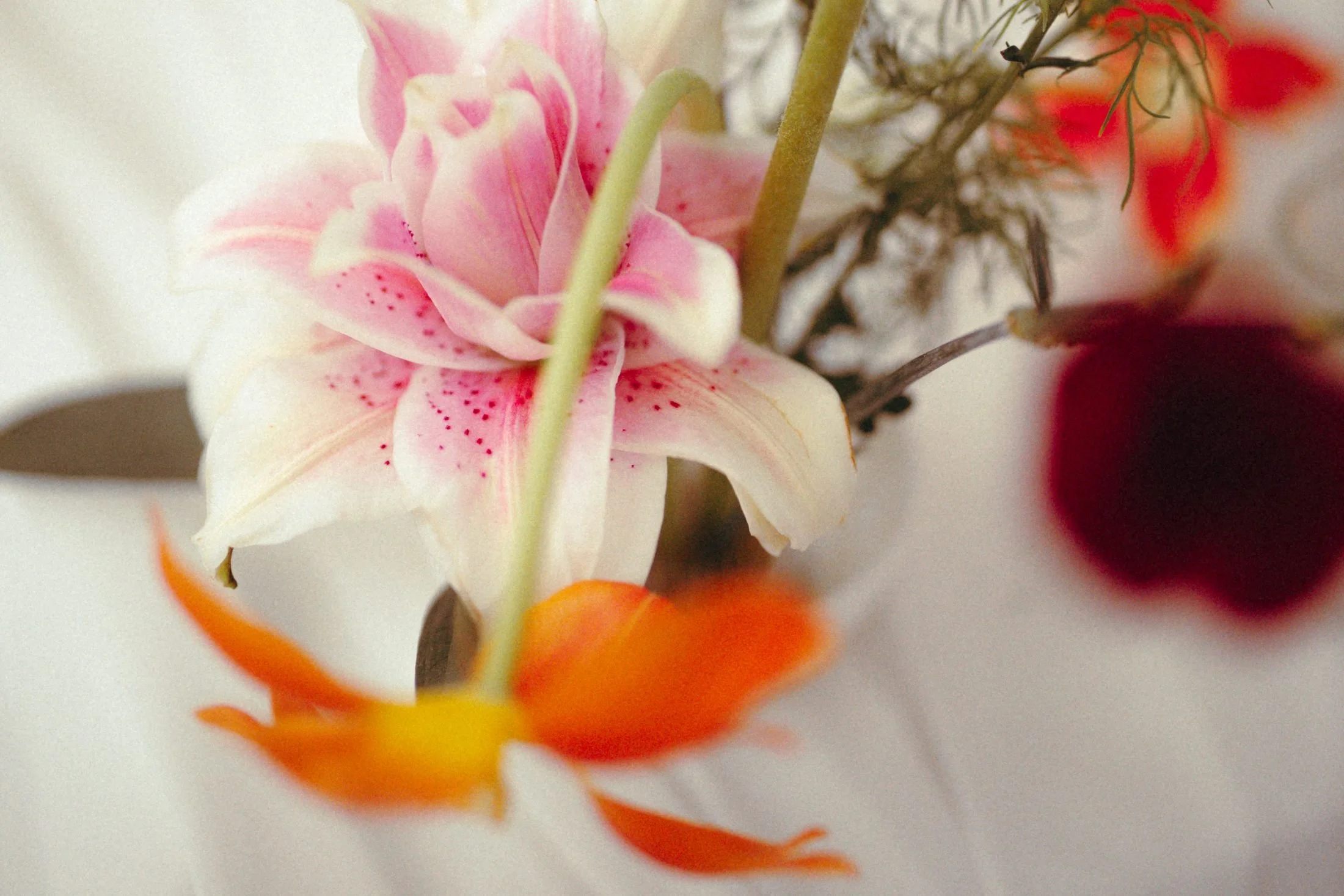 pop-of-luxe-img-7144.jpg