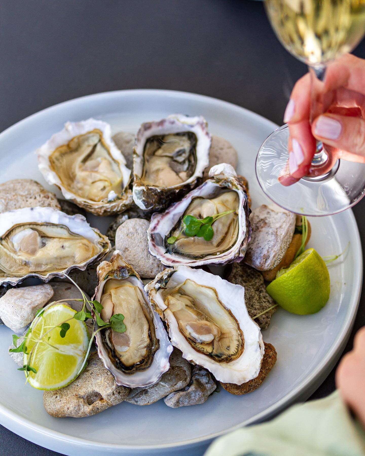 Finish your day sparkling 🥂
 
A better combination you&rsquo;ll battle to beat; oysters and flowing bubbly make for the perfect way to close in the day. 
 
And trust us- it always tastes better served by the sea 🌊