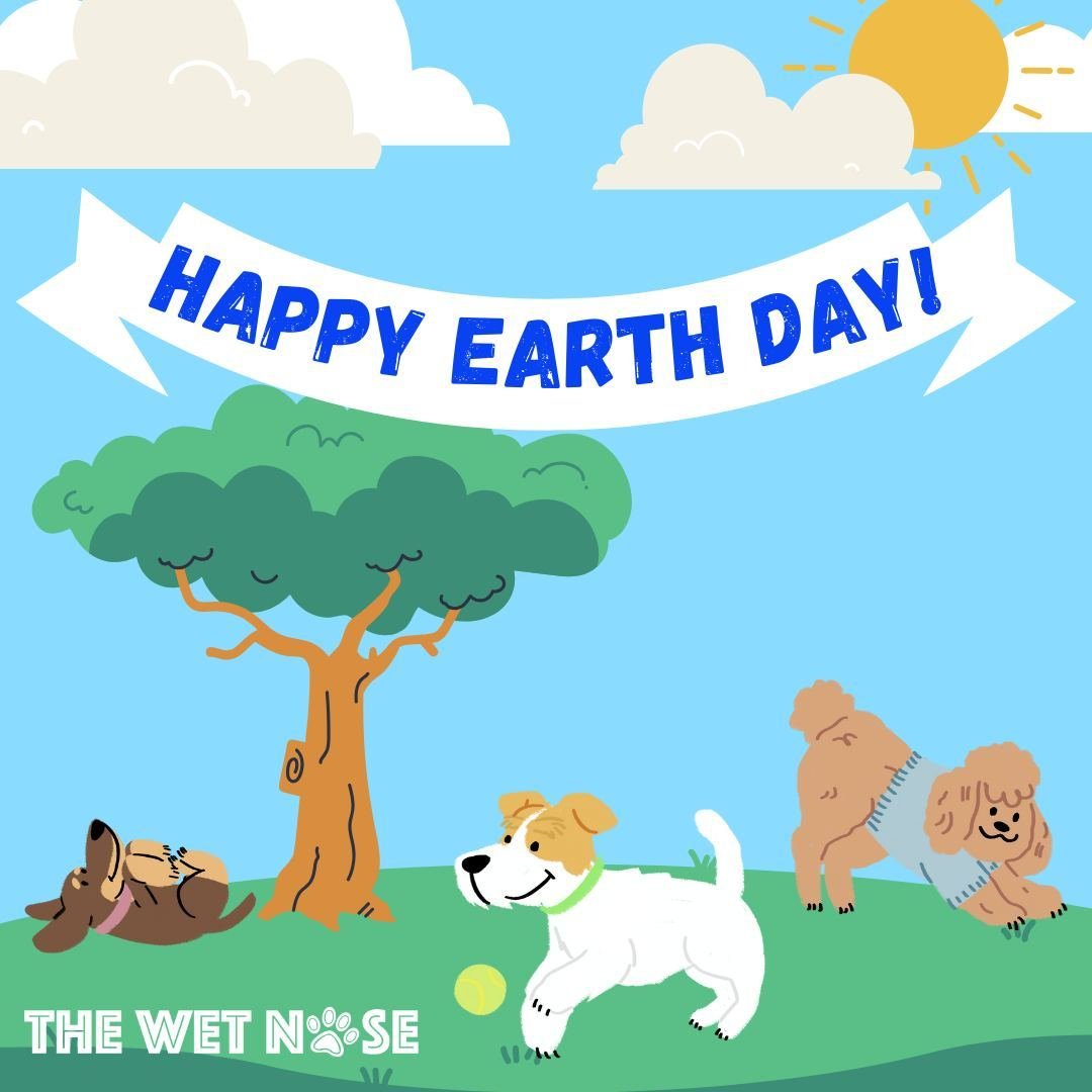 🌎 🐾 Happy Earth Day from The Wet Nose LLC! 🌿 Let's &quot;paws&quot; and reflect on the beauty of our planet and the importance of caring for it. 🌱 Embracing outdoor recreation not only strengthens the bond between you and your furry friend but al