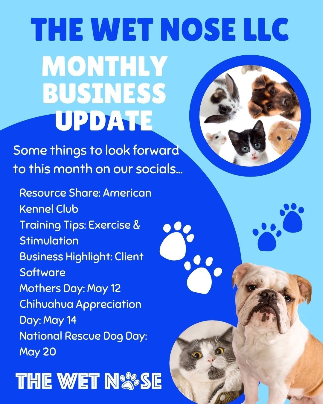 🌟 May Updates at The Wet Nose LLC! 🐾

Get ready for a month packed with tail-wagging excitement and valuable insights on our socials! Here's what's in store:

📅 Mark your calendars! We're celebrating National Rescue Dog Day and Chihuahua Appreciat