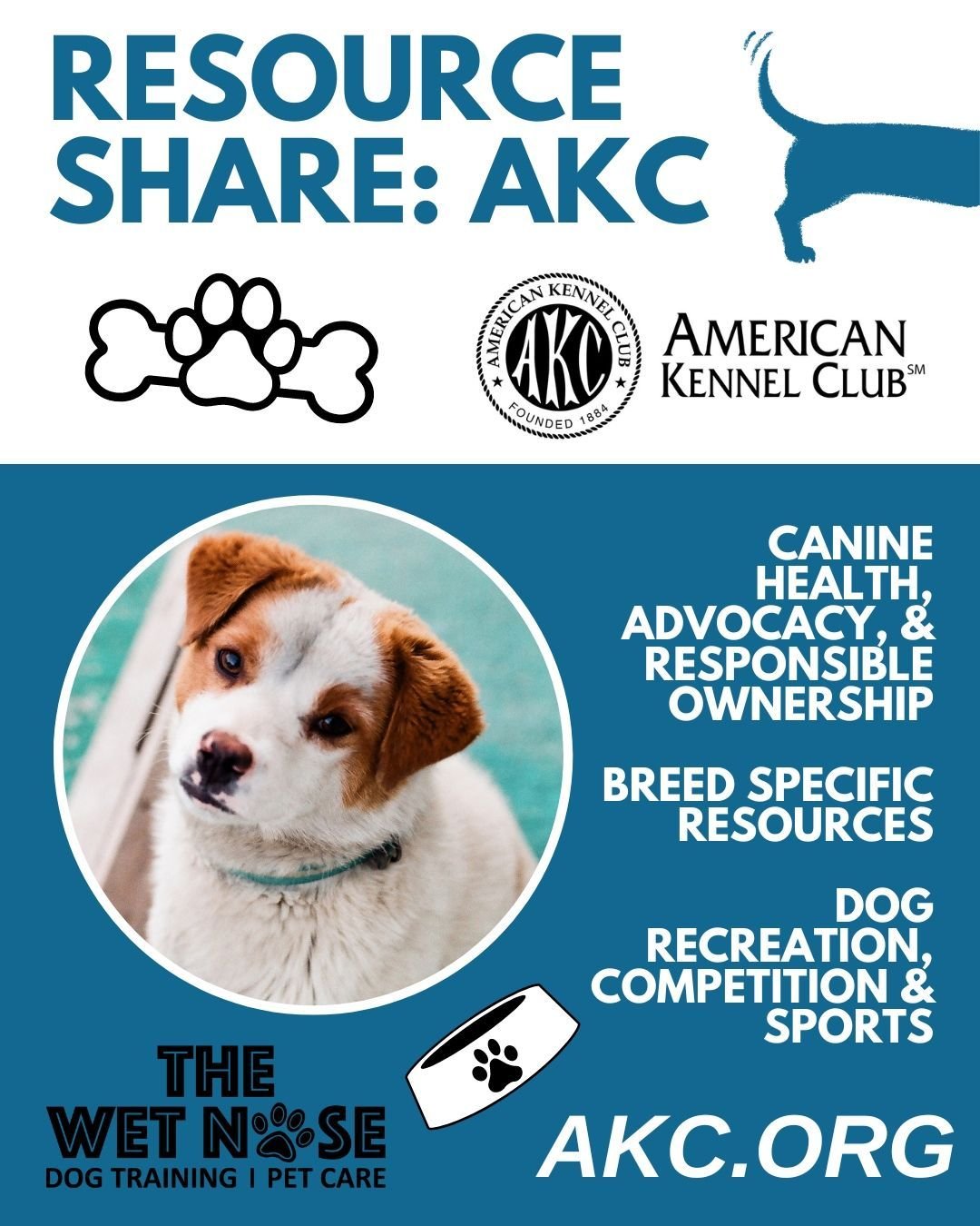 🐾 Discover the Power of the American Kennel Club! (AKC) 🏆

For over 130 years, the AKC has been the ultimate authority for dog lovers, promoting canine health, advocacy, and responsible ownership. With 201 recognized breeds, 5,000+ clubs, and milli