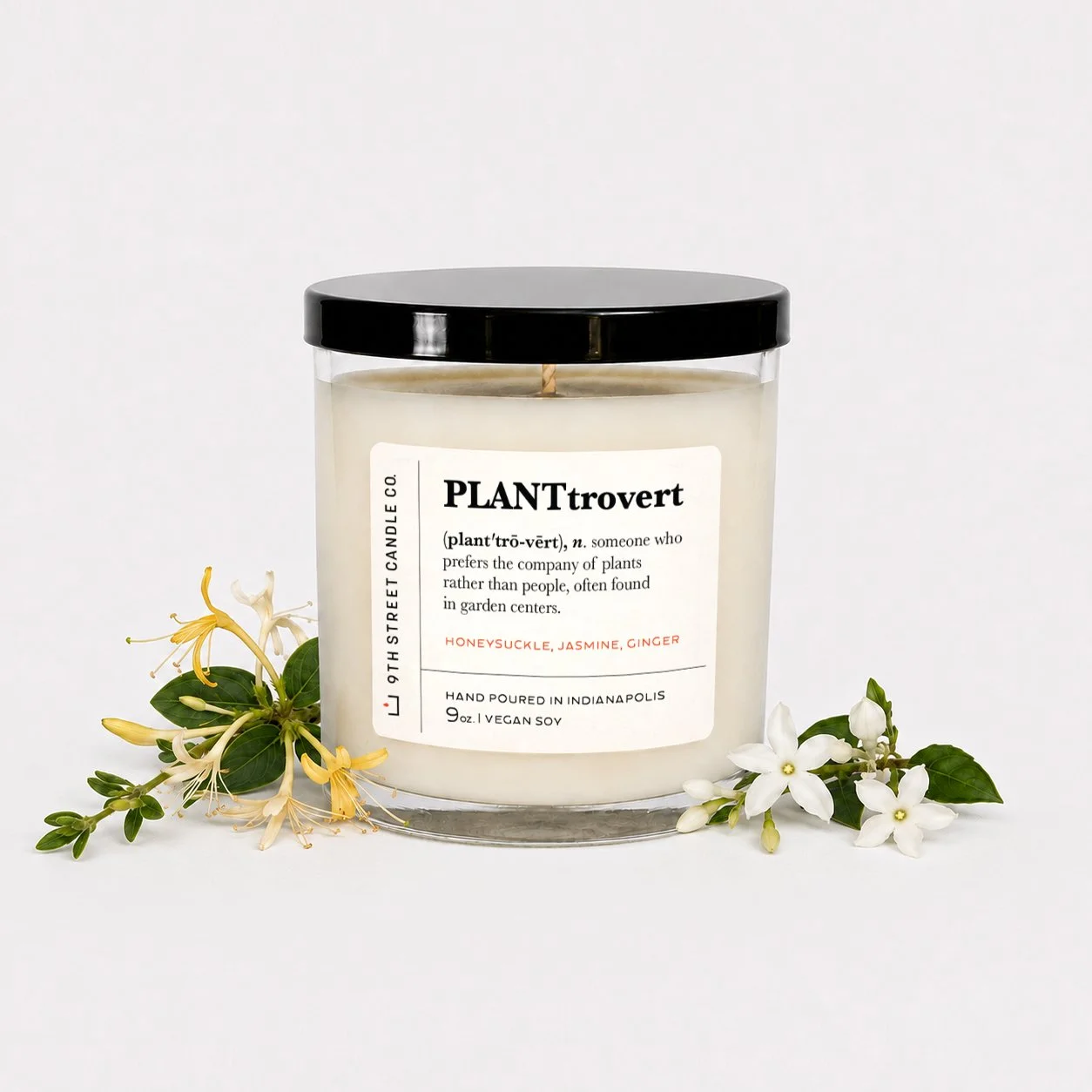 plant.jpg